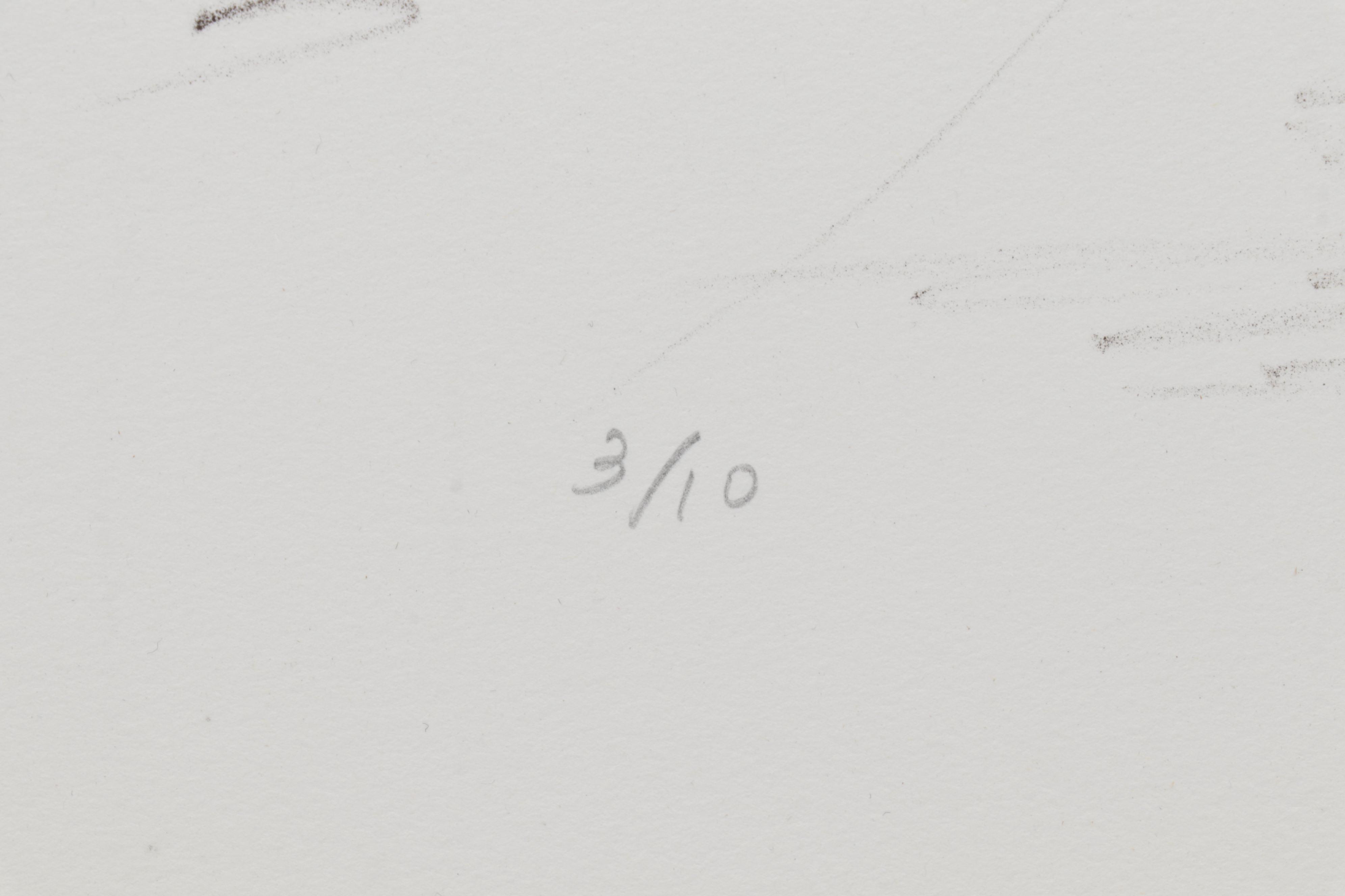 Sidney Chafetz Lithograph "Pickets," 1987