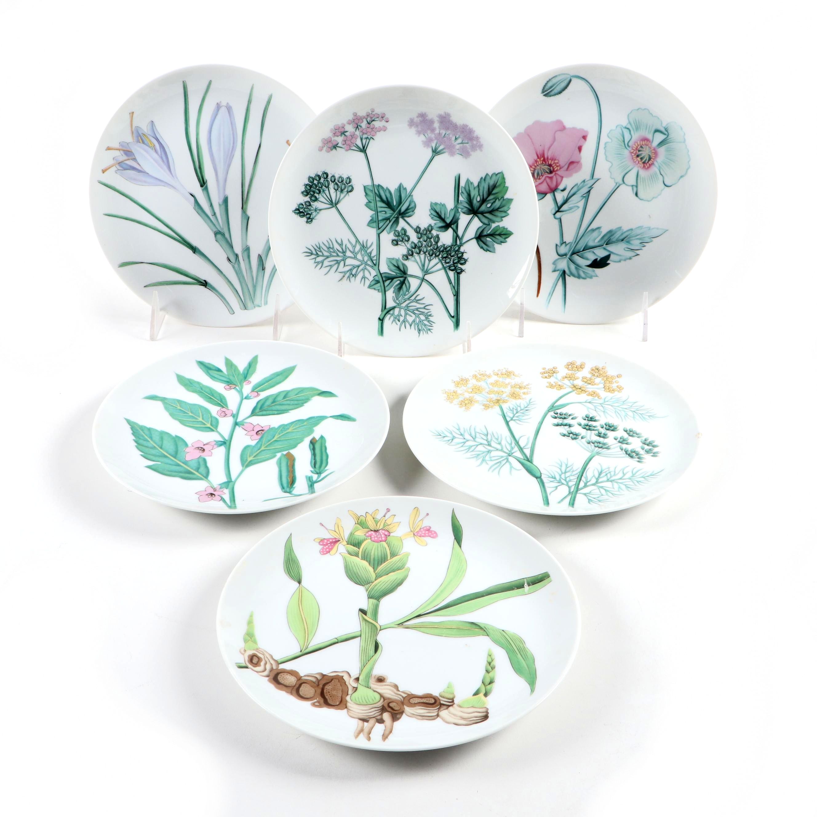 Horchow "Botanical Herb Seed" Porcelain Salad Plates