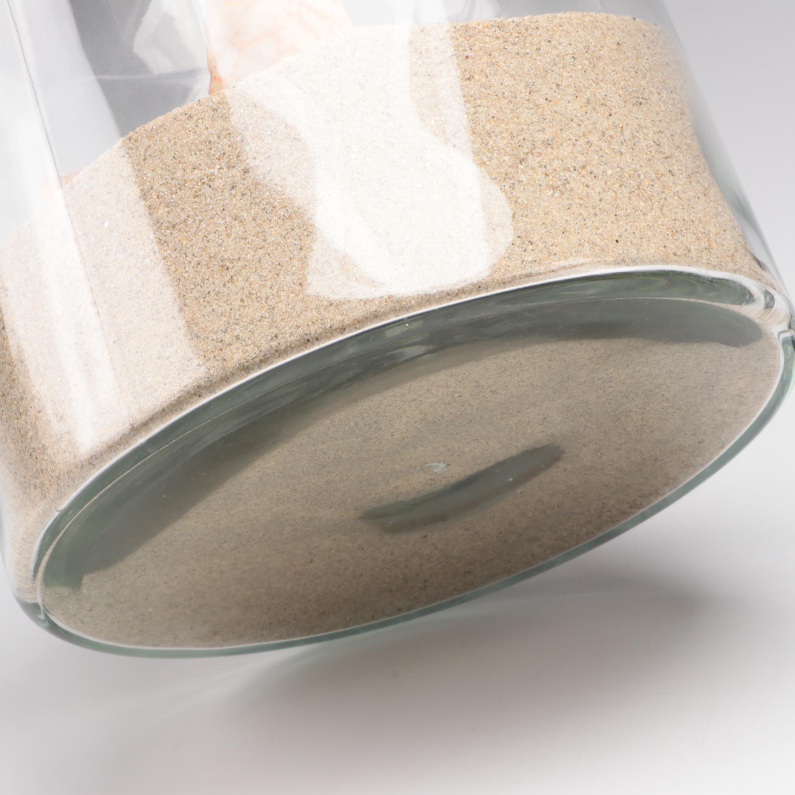 Antique Finish Bottles and Hurricane with Shells and Sand