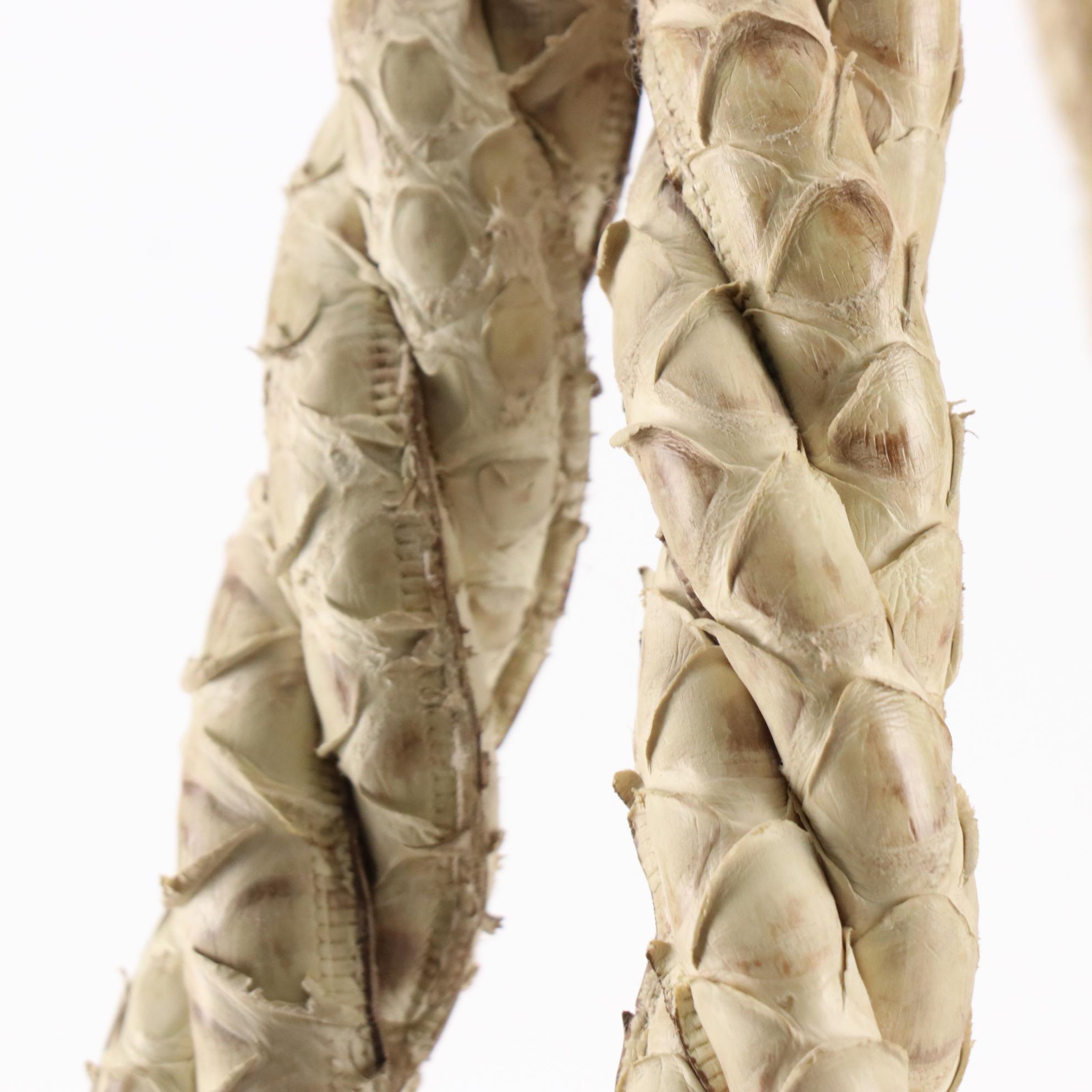 Prada Frame Top Tote Bag in Python Skin with Braided Handles