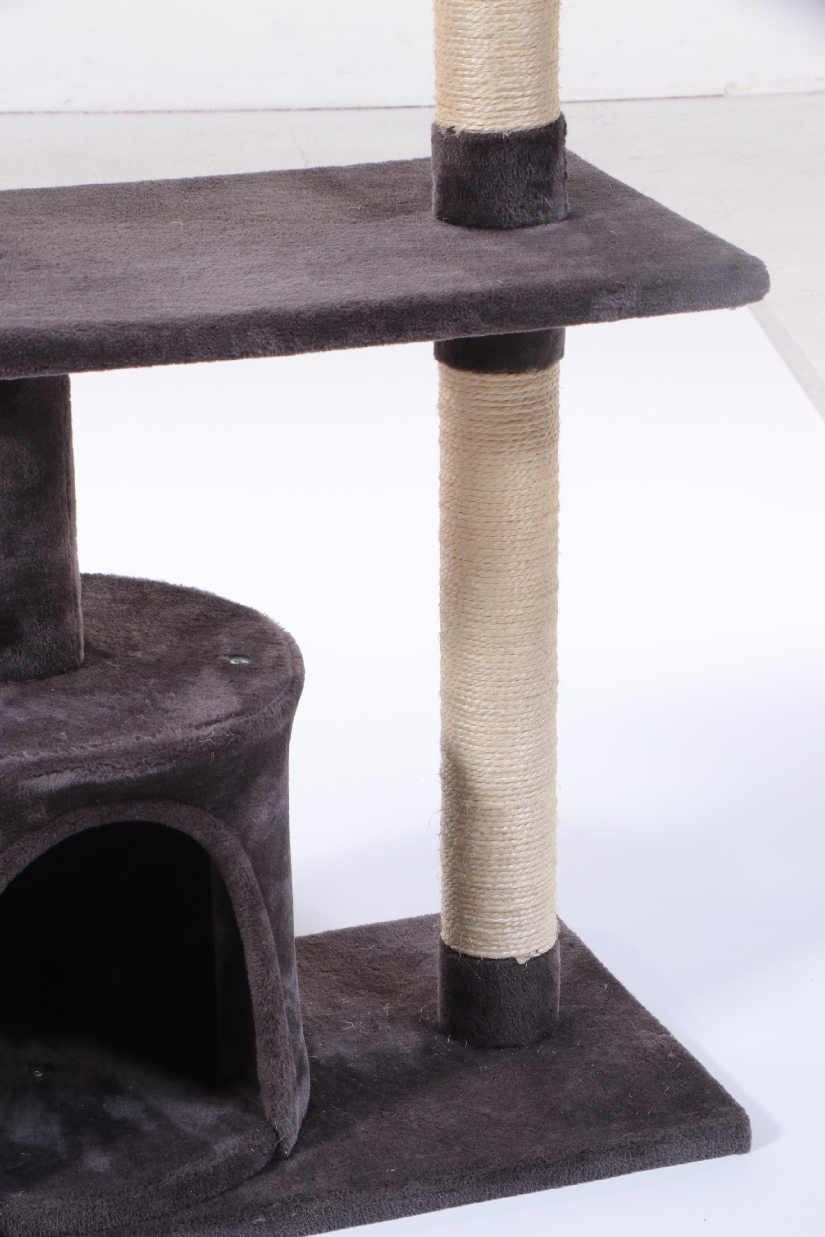 Chewy Cat Tree with Pet Carrier and Accessories