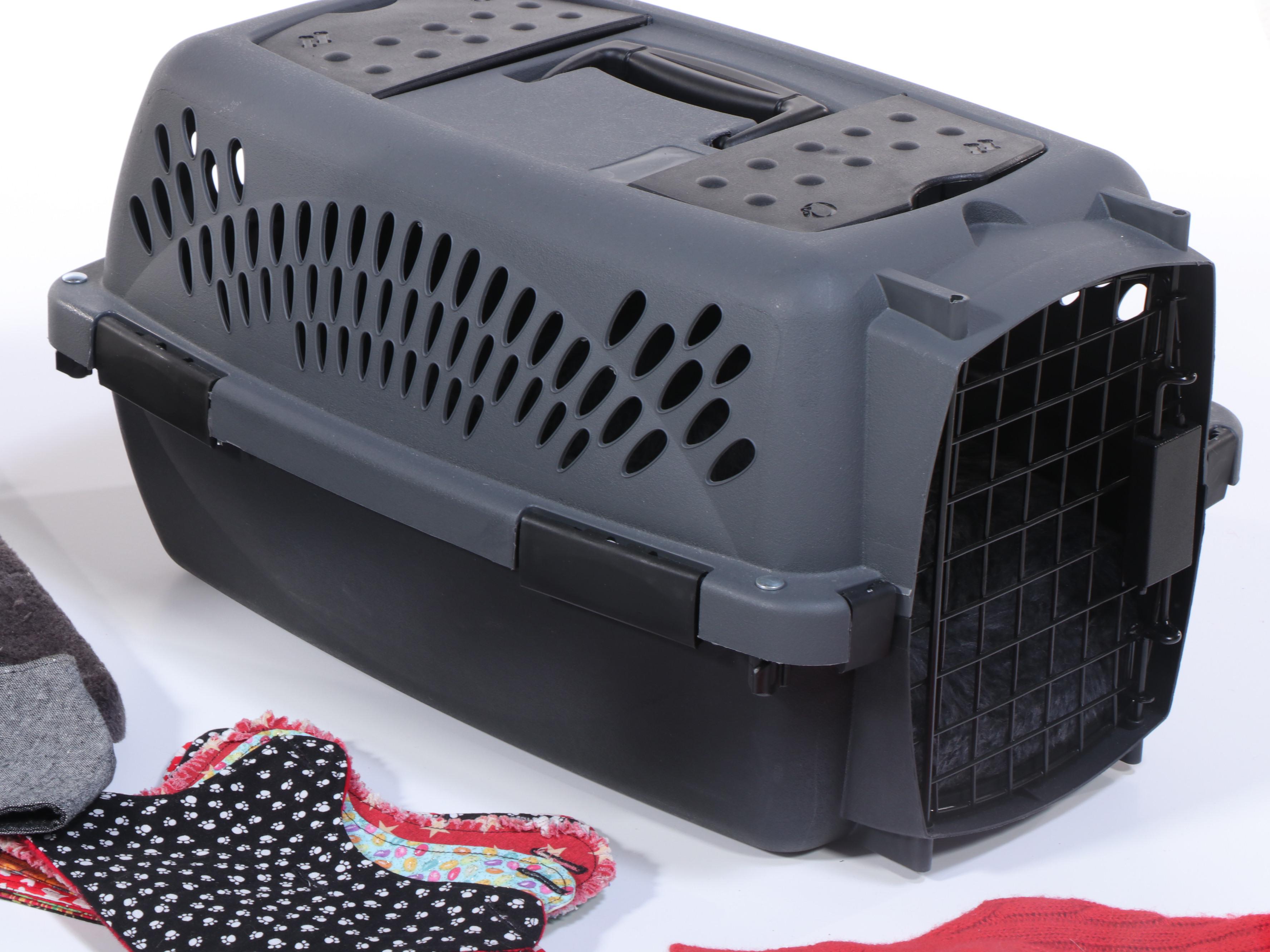 Chewy Cat Tree with Pet Carrier and Accessories