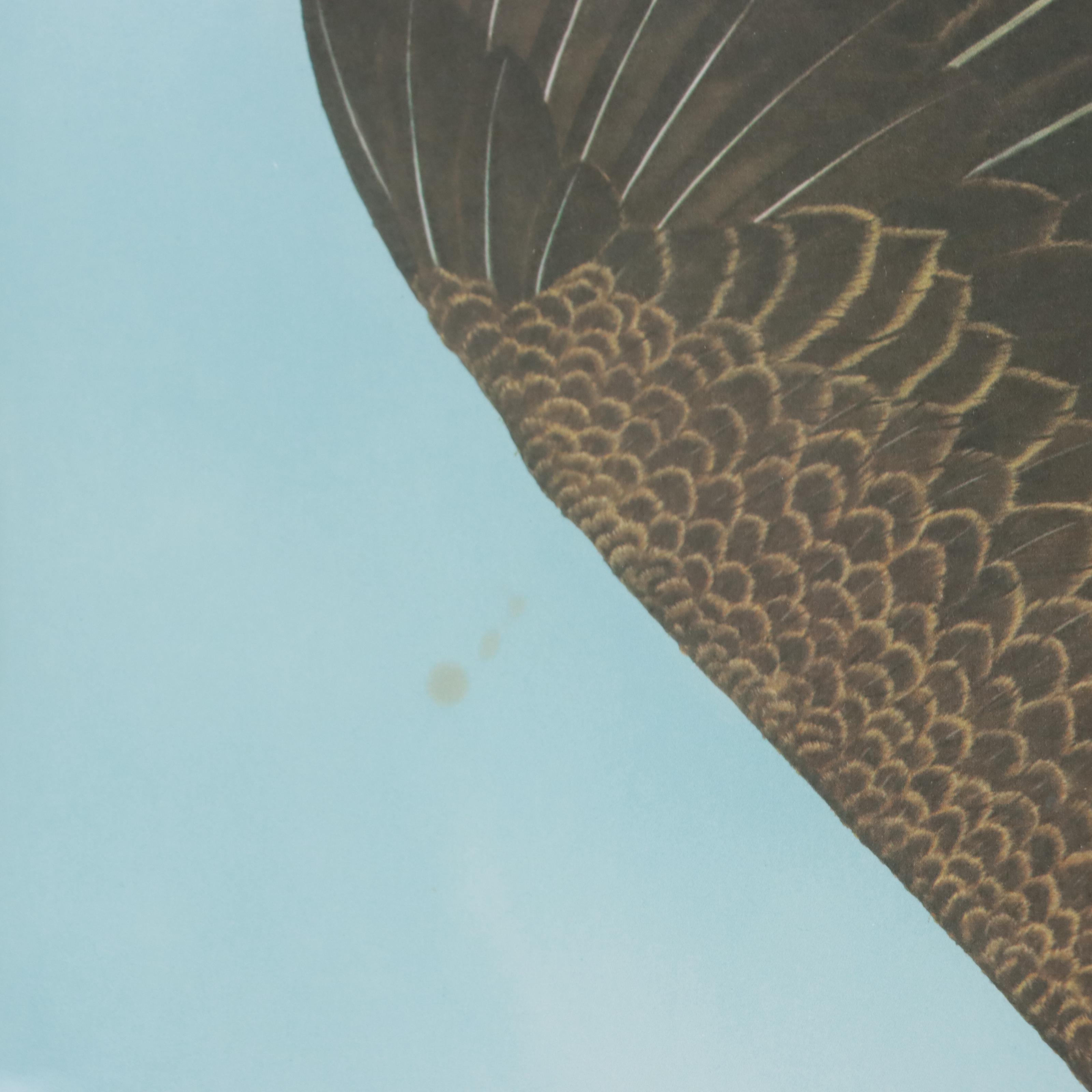 Ray Harm Offset Lithograph "American Eagle"