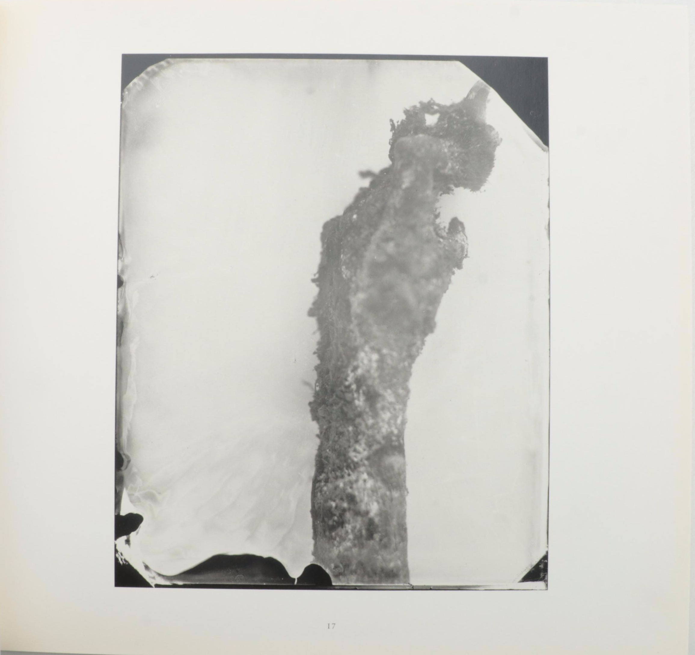 First Edition "What Remains" and More Photography Books by Sally Mann