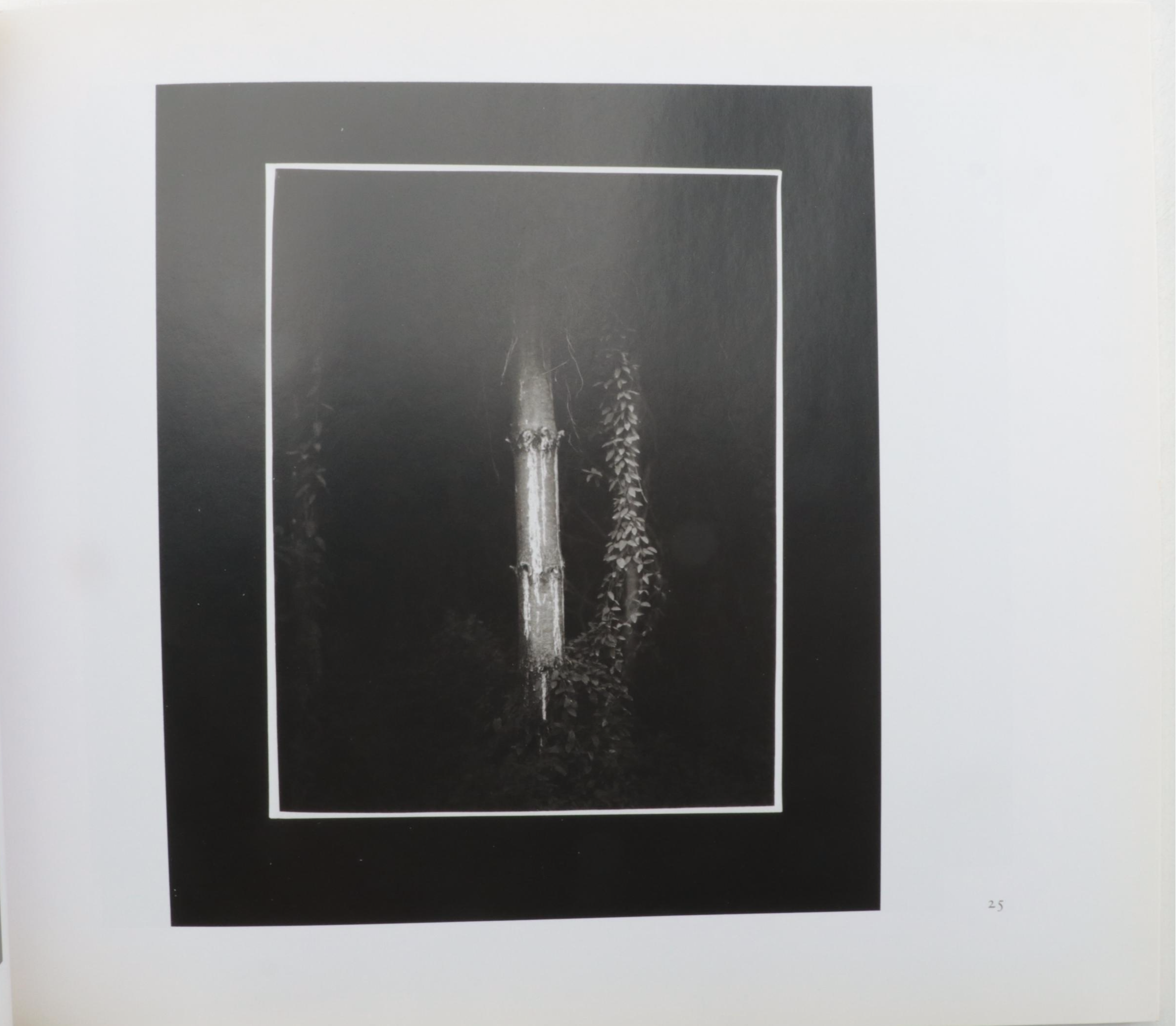 First Edition "What Remains" and More Photography Books by Sally Mann