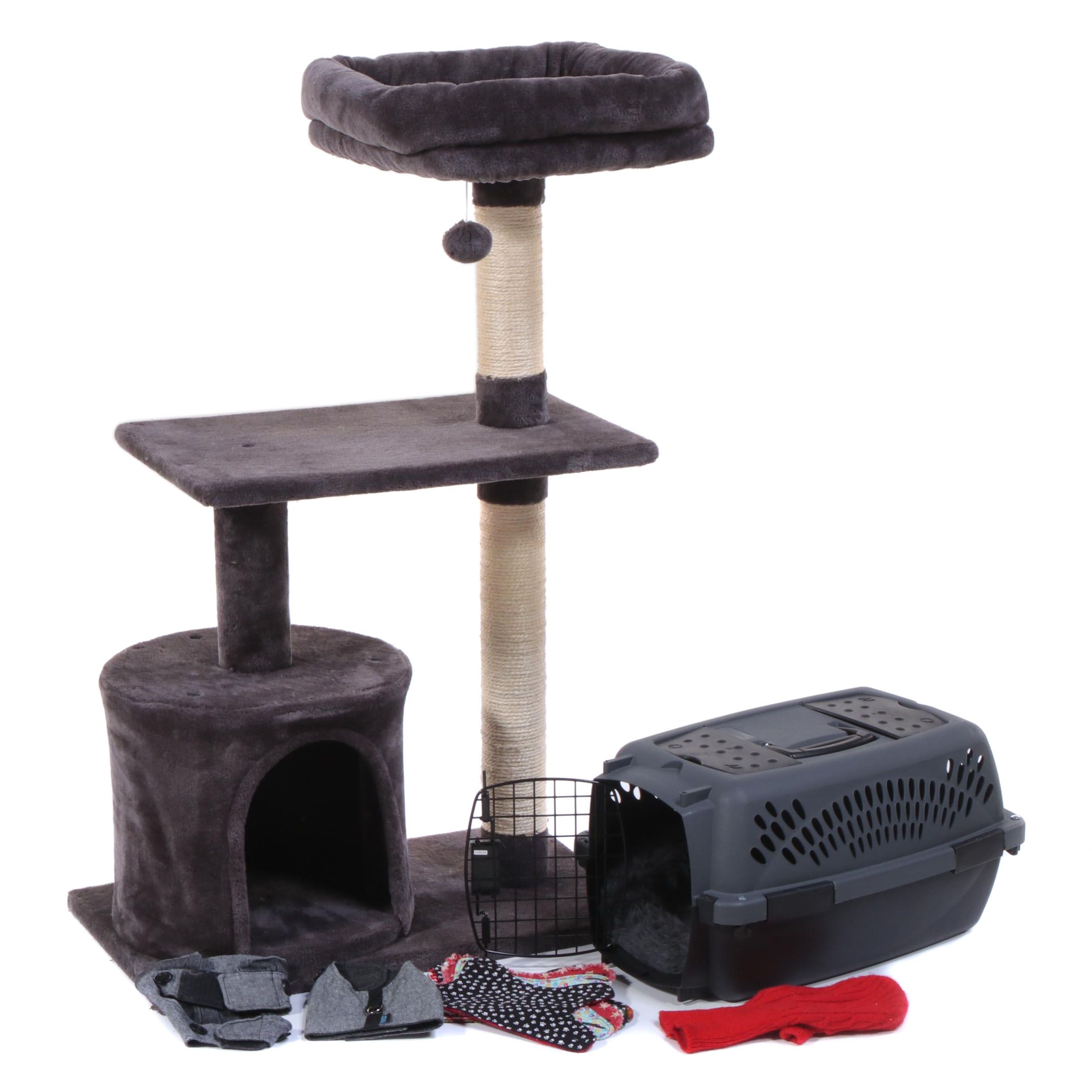 Chewy Cat Tree with Pet Carrier and Accessories