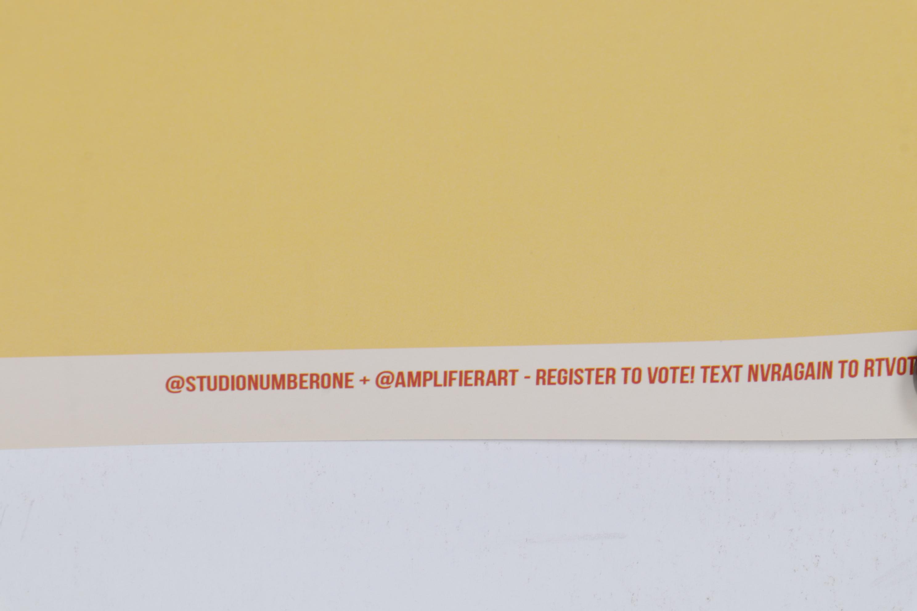 Gun Control Double-Sided Offset Lithograph Poster After Shepard Fairey