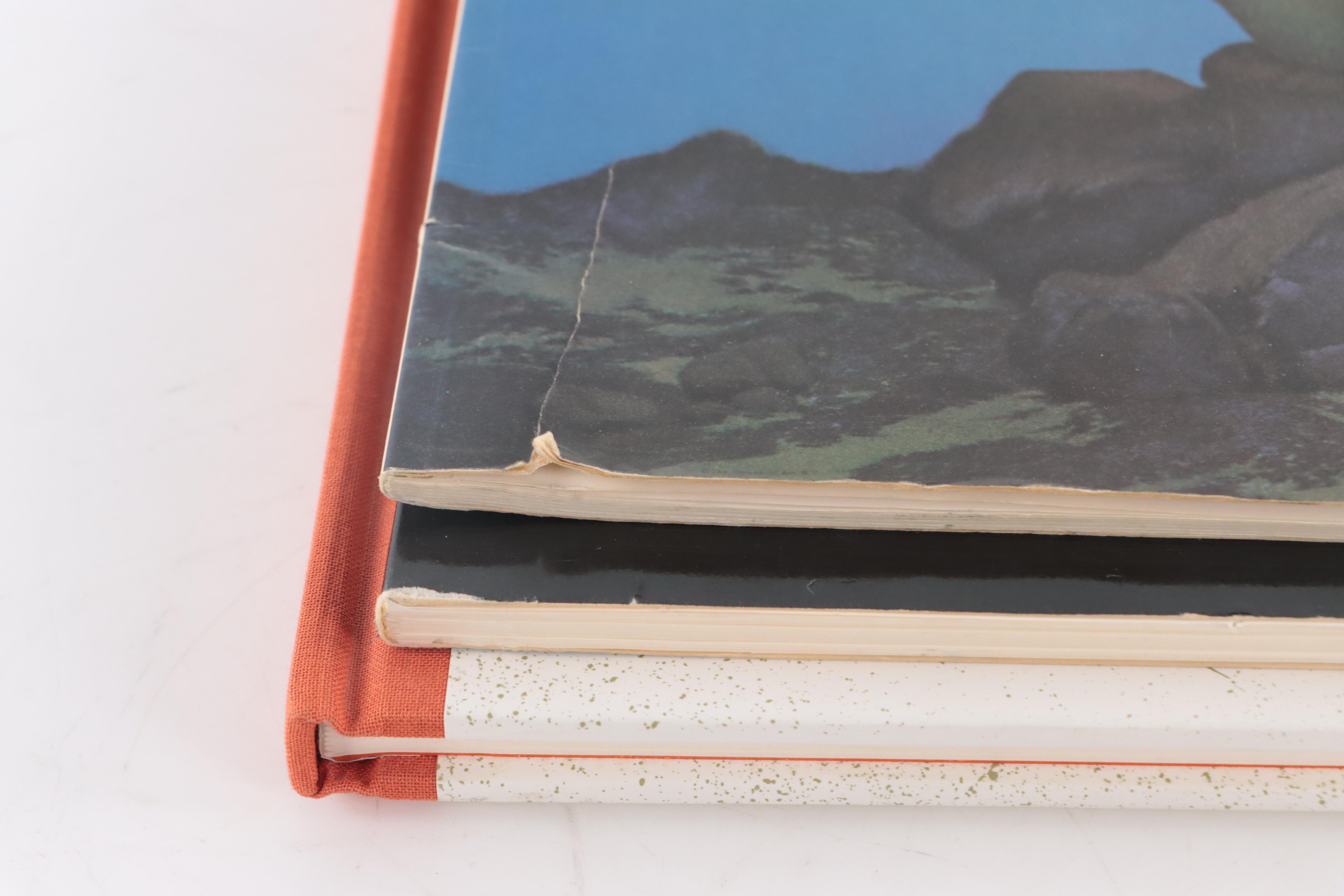 "The Maxfield Parrish Poster Book," "Des Chats pár Steinlen," and More