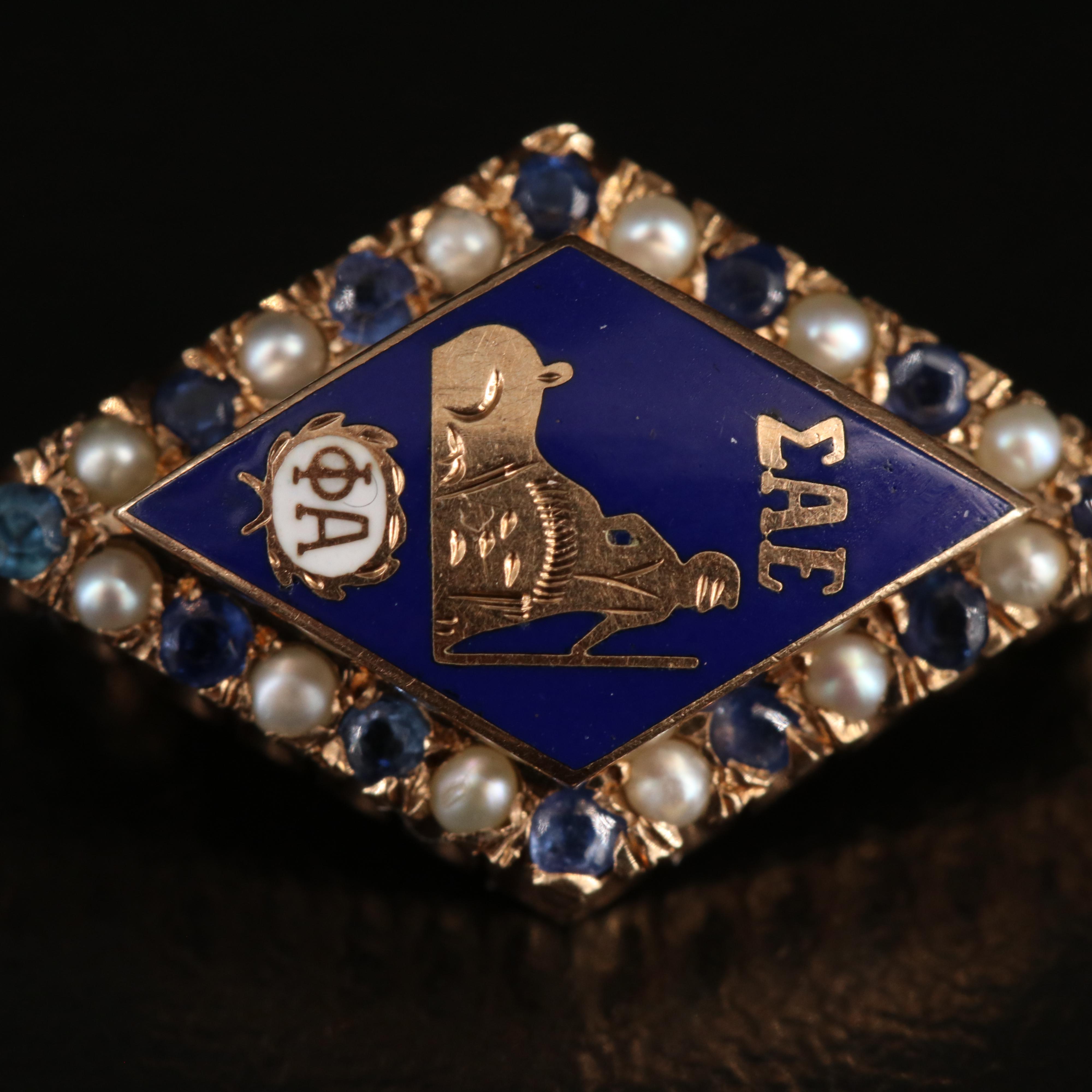 10K Sigma Alpha Epsilon Fraternity Sapphire, Seed Pearl and Enamel Pin
