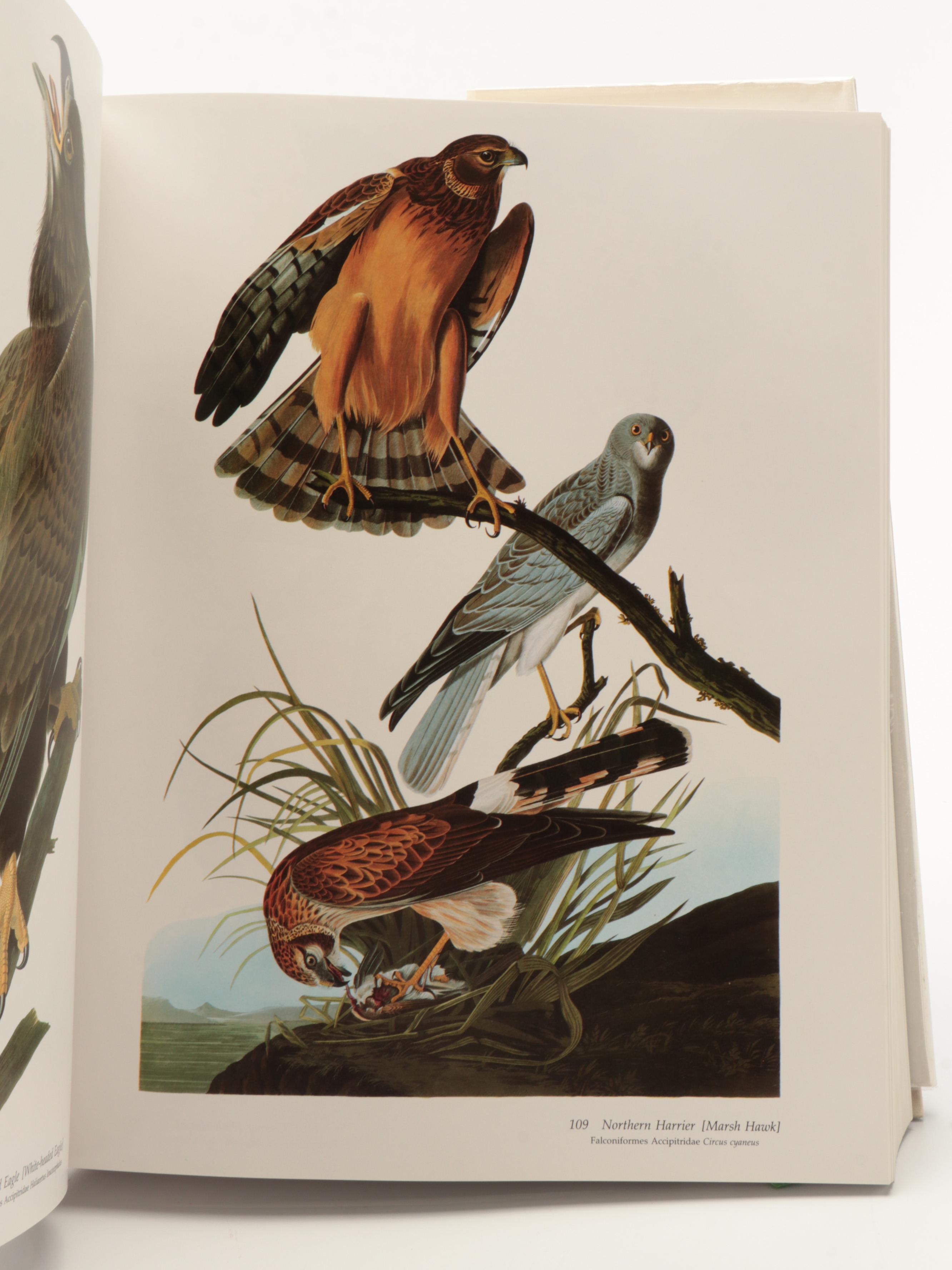 "Audubon's Birds of America" Baby Elephant Folio by the Petersons, 1981