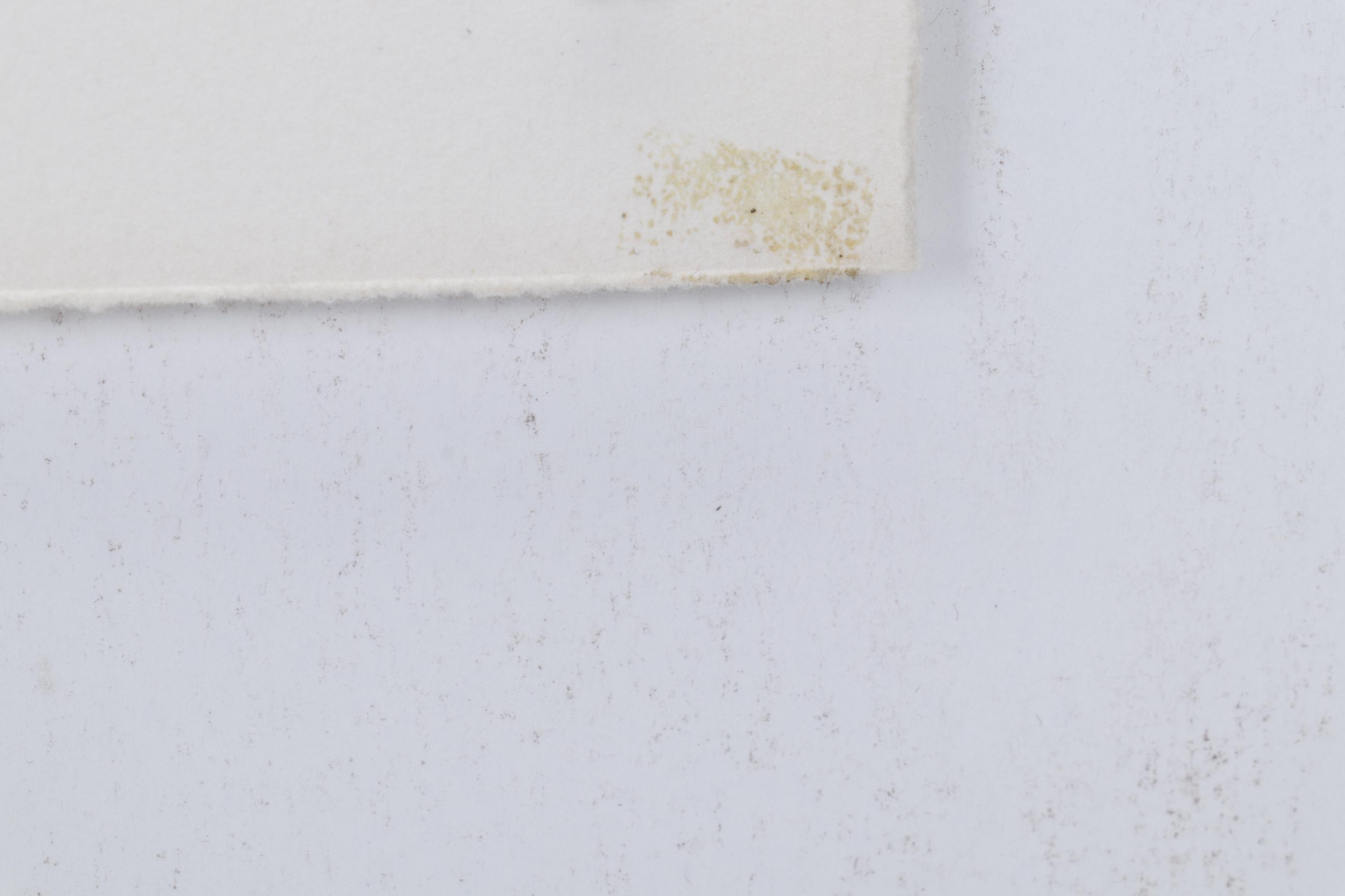 Sidney Chafetz Etching with Aquatint "John Updike," 1981