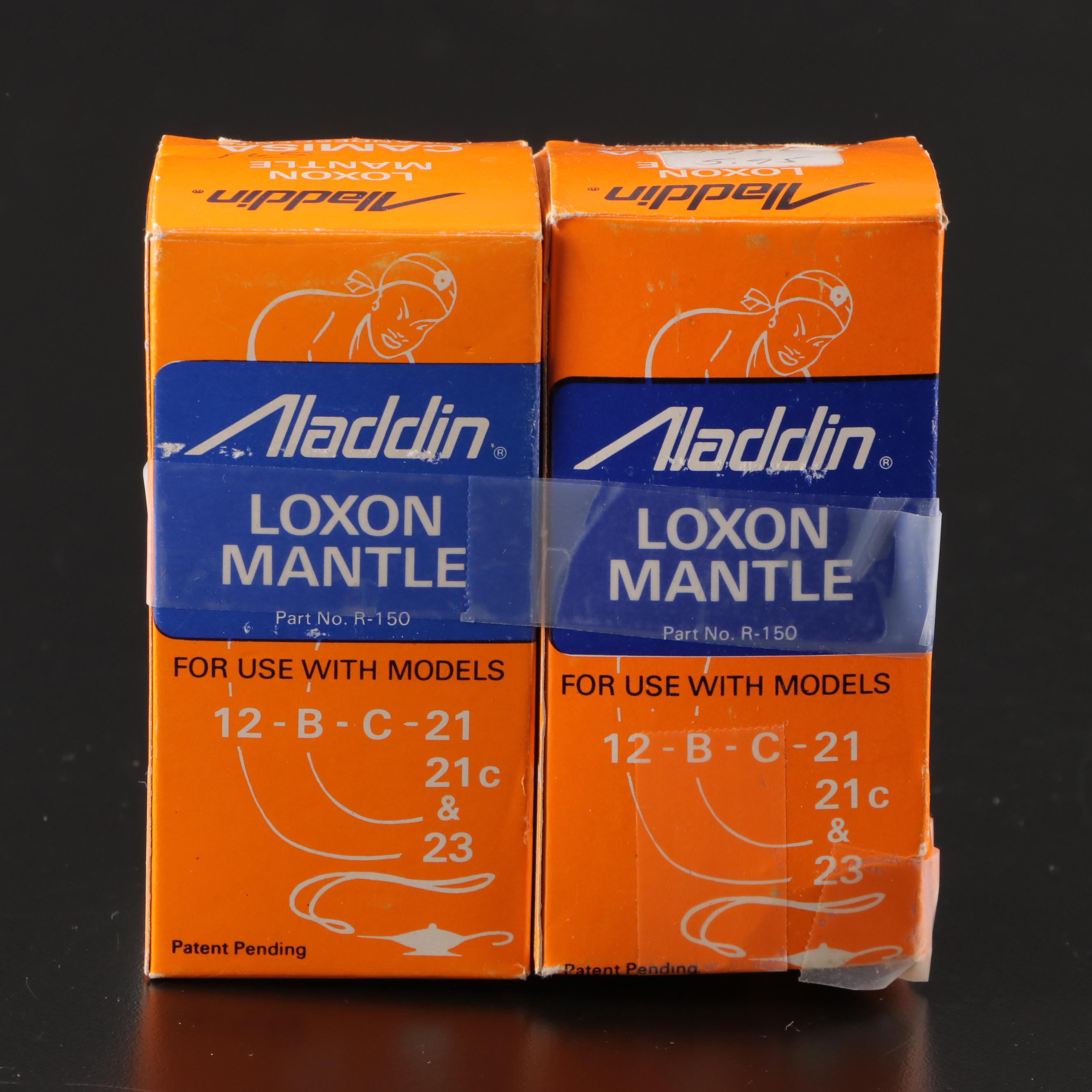 Aladdin Brass Oil Lamp With Hand-Painted Milk Glass Shade, Early 20th Century