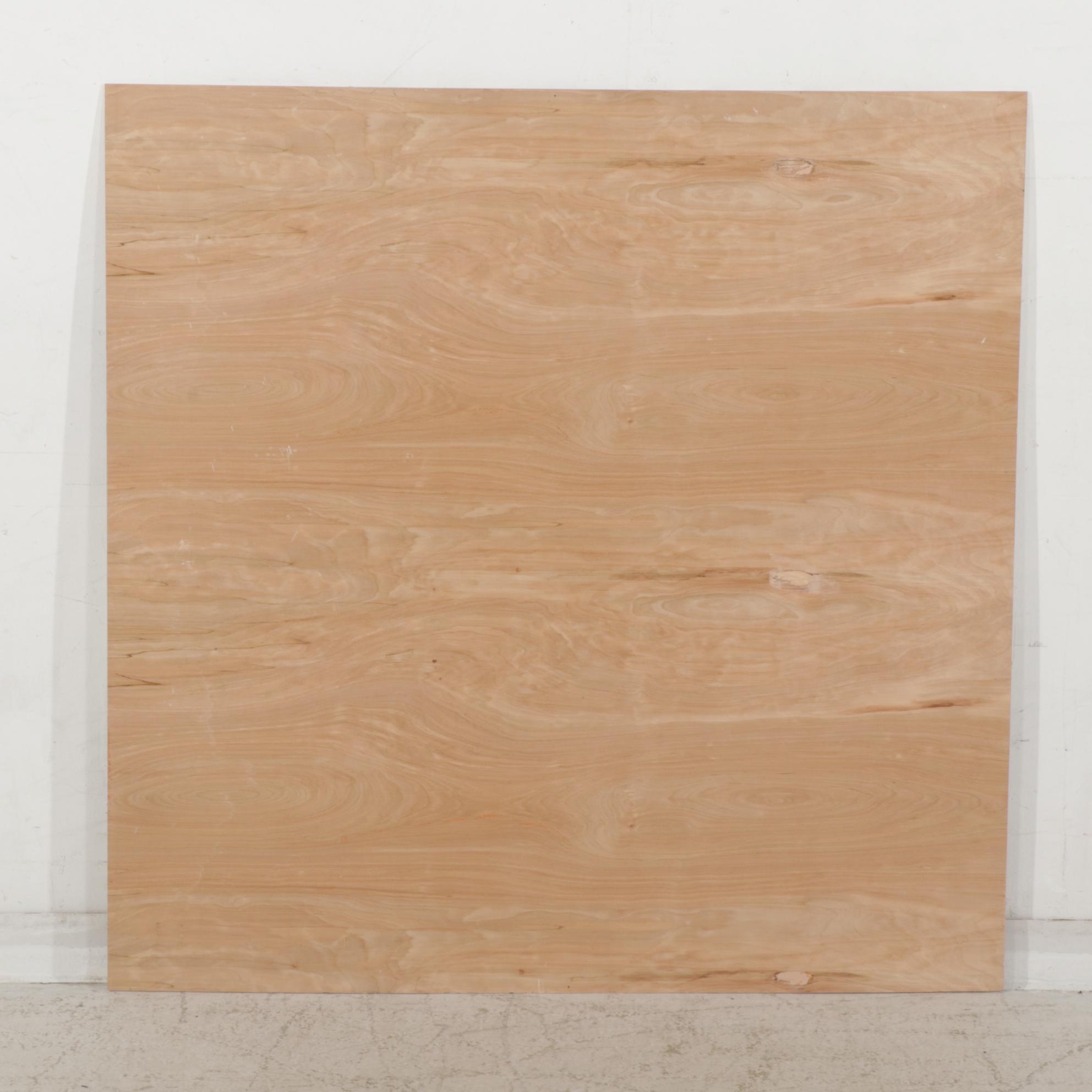 Anthony Eve Kemp Outsider Art Acrylic Painting "Vision," 2016