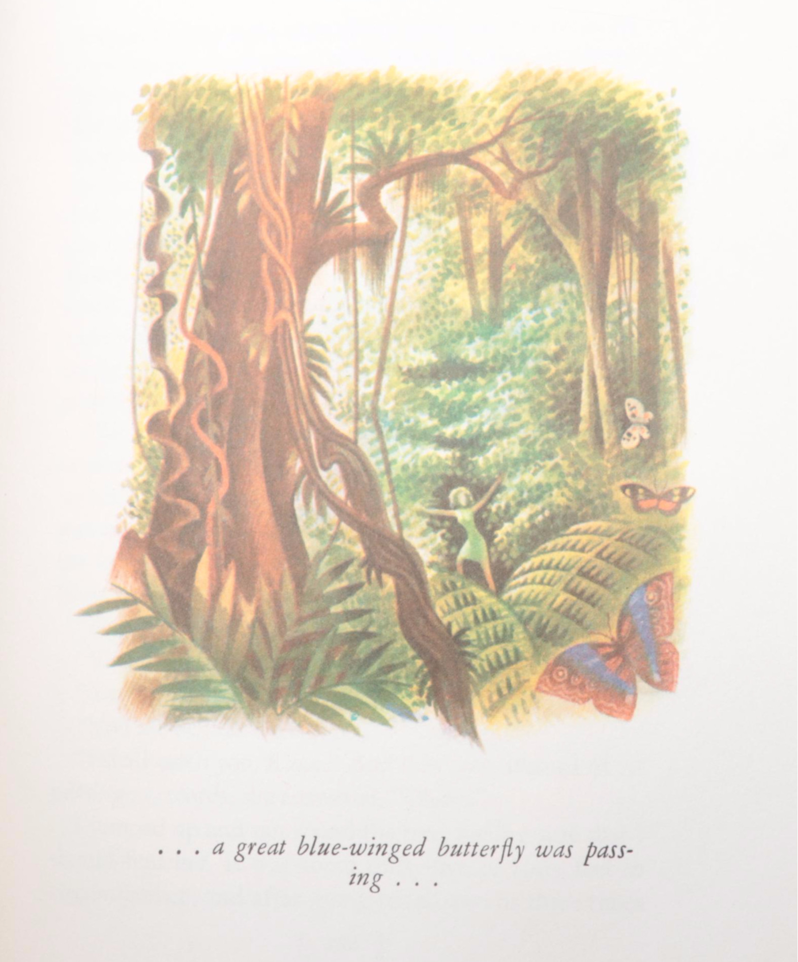 Illustrated "Crime and Punishment" by Fyodor Dostoevsky and More Books