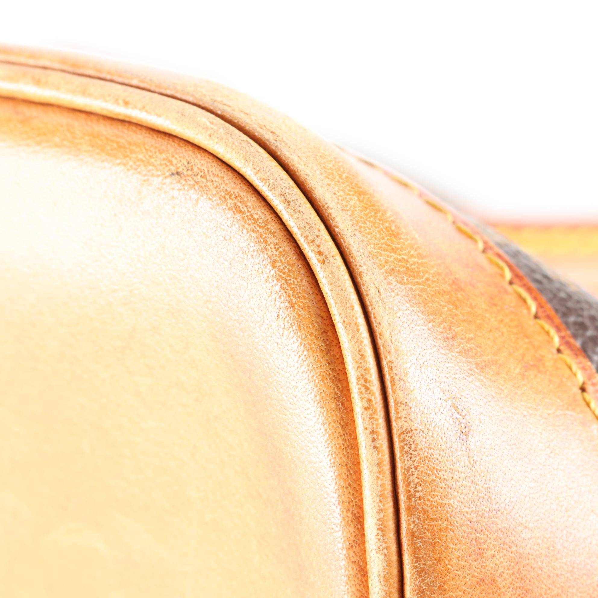 Louis Vuitton Alma PM Bag in Monogram Canvas and Leather