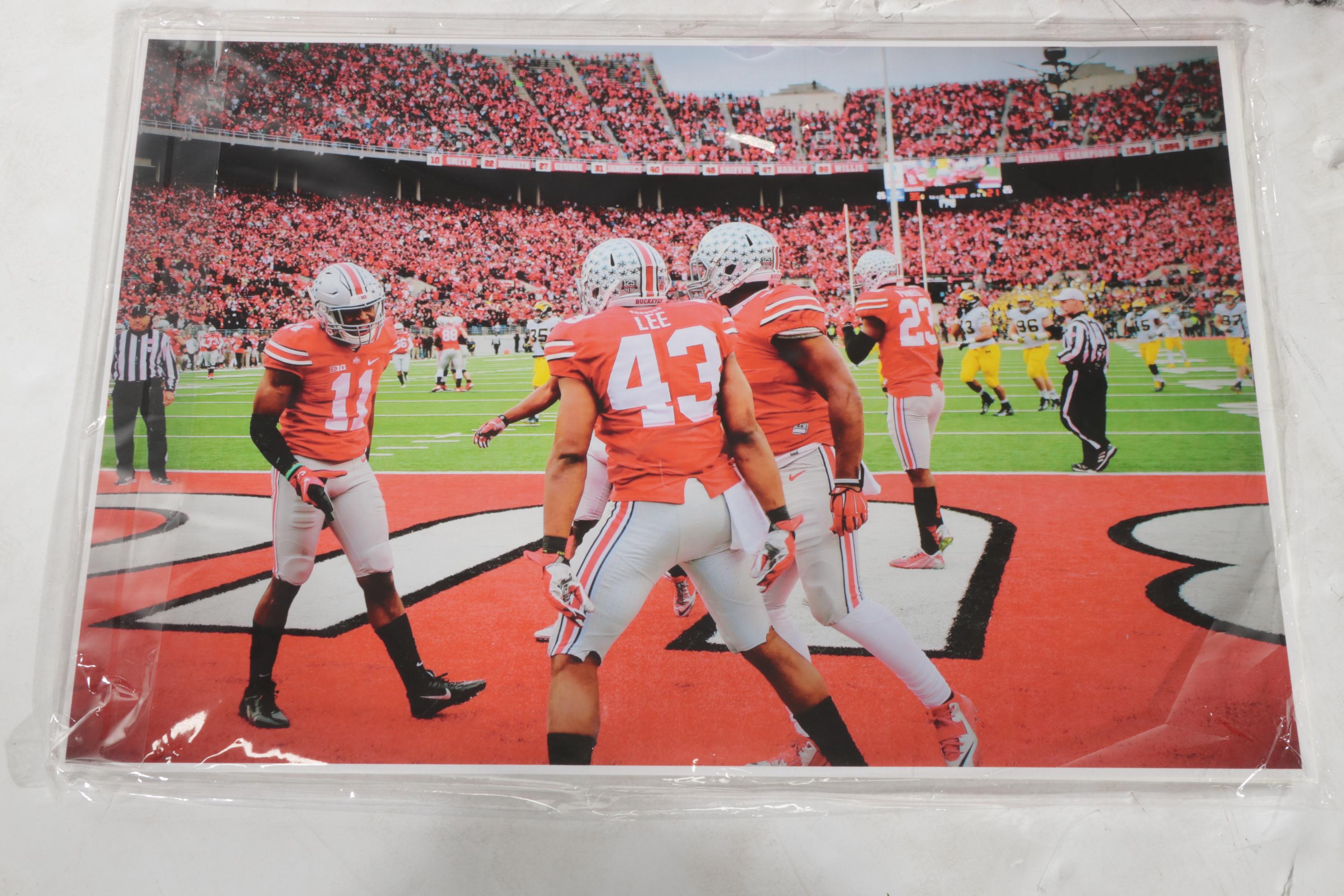 Ohio State Buckeyes Memorabilia Featuring Wall Hangings, Blankets, and More