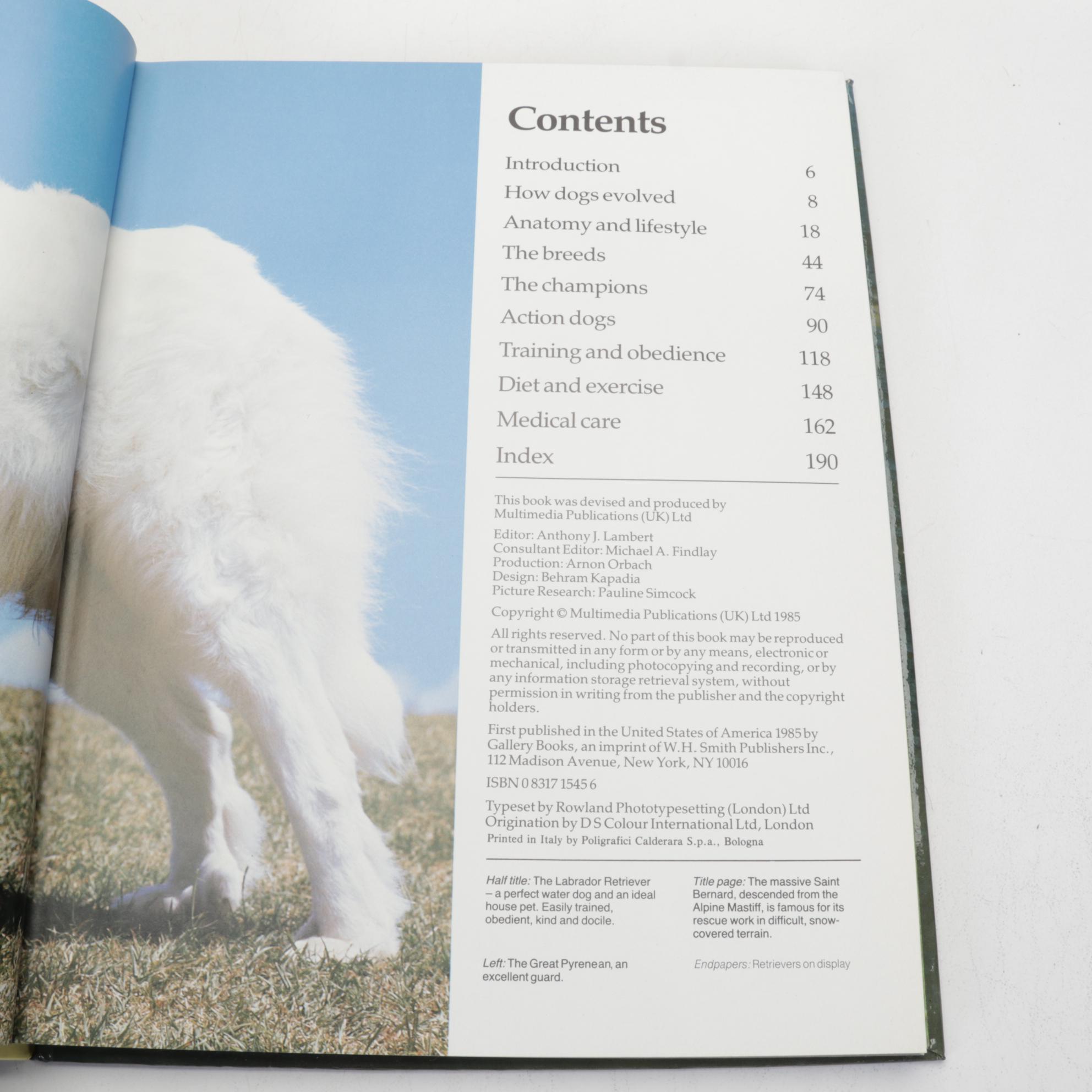 Dog, Bird, and Other Animal Books Featuring "The Complete Book of the Dog"