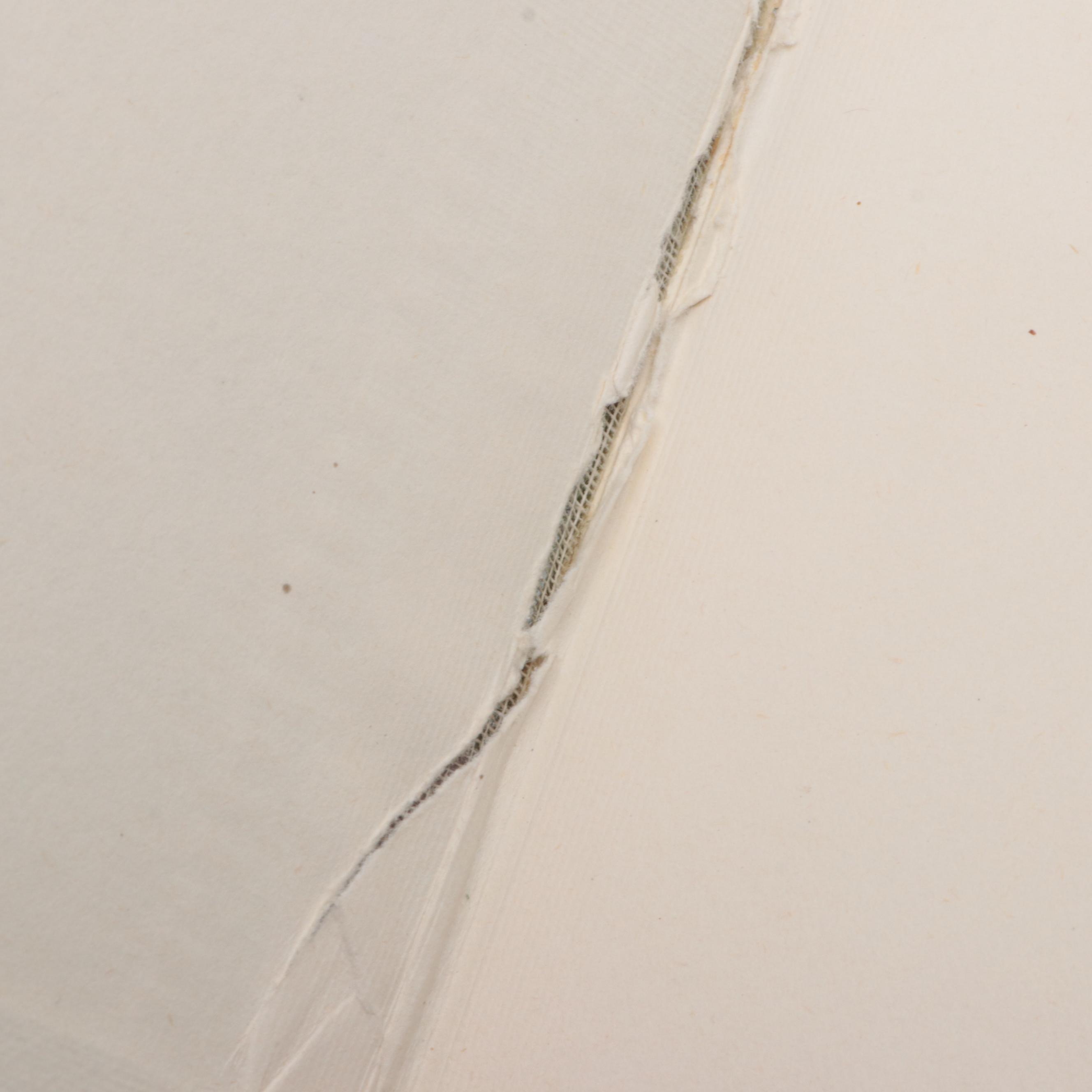 "The Miniature World of Peter Rabbit" Box Set with "The Art of Beatrix Potter"