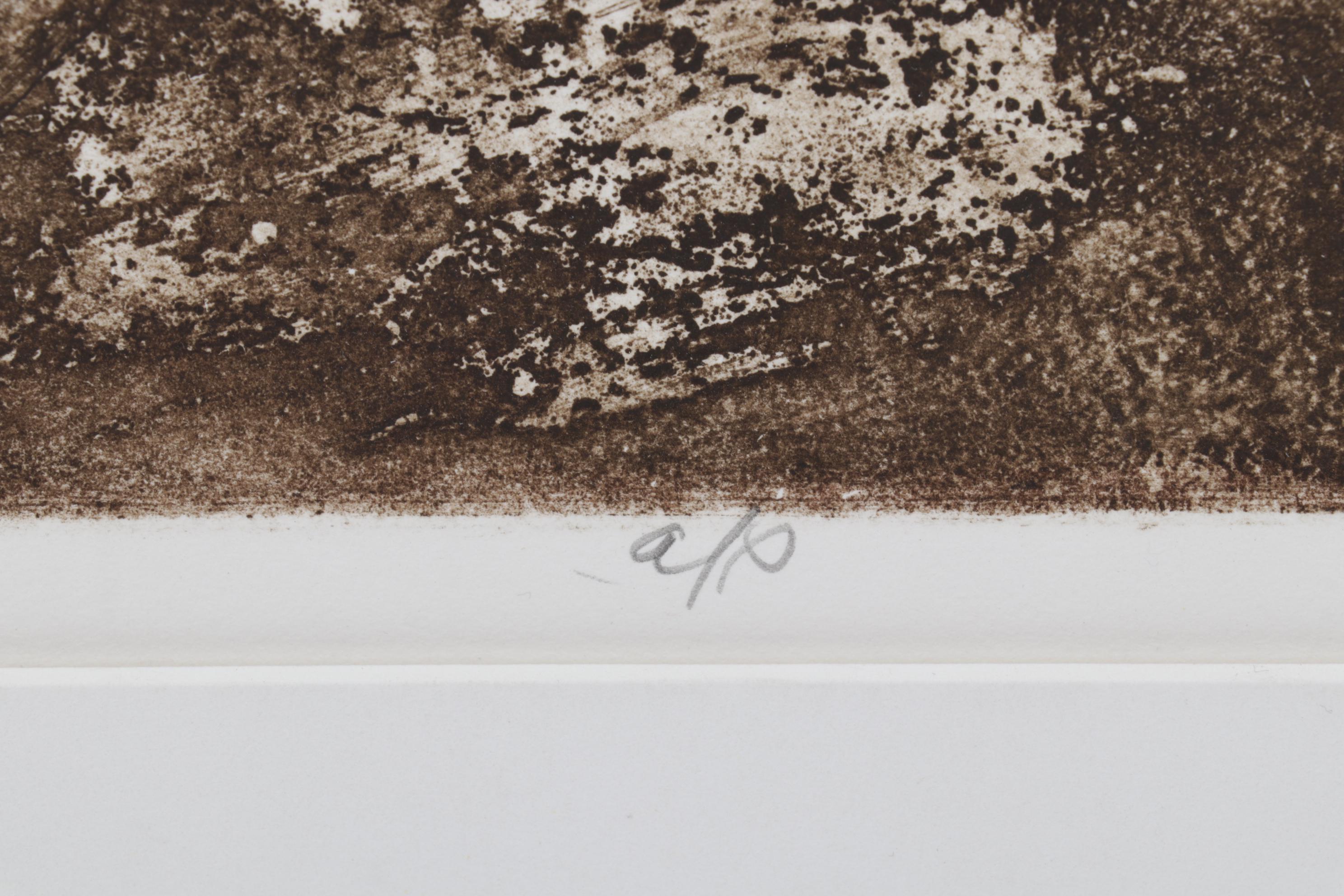 Sidney Chafetz Etching With Aquatint "Swift," 1973