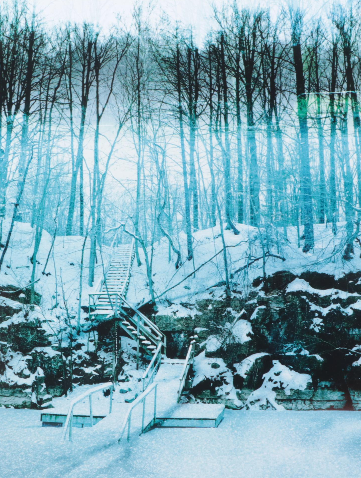 Signed First Edition "Empire Falling" by Elena Dorfman, 2013