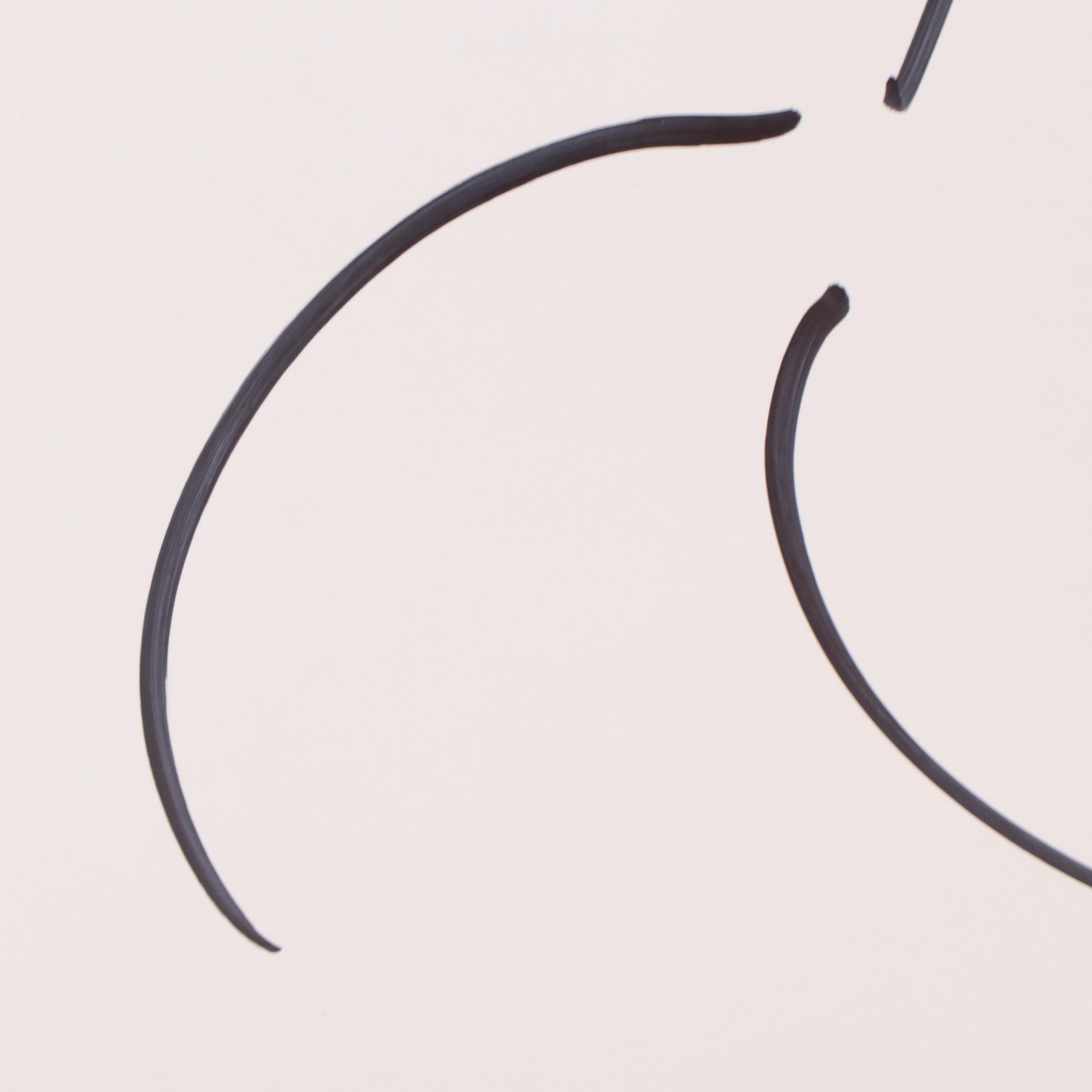 Peter Keil Abstract Ink Portrait Drawing