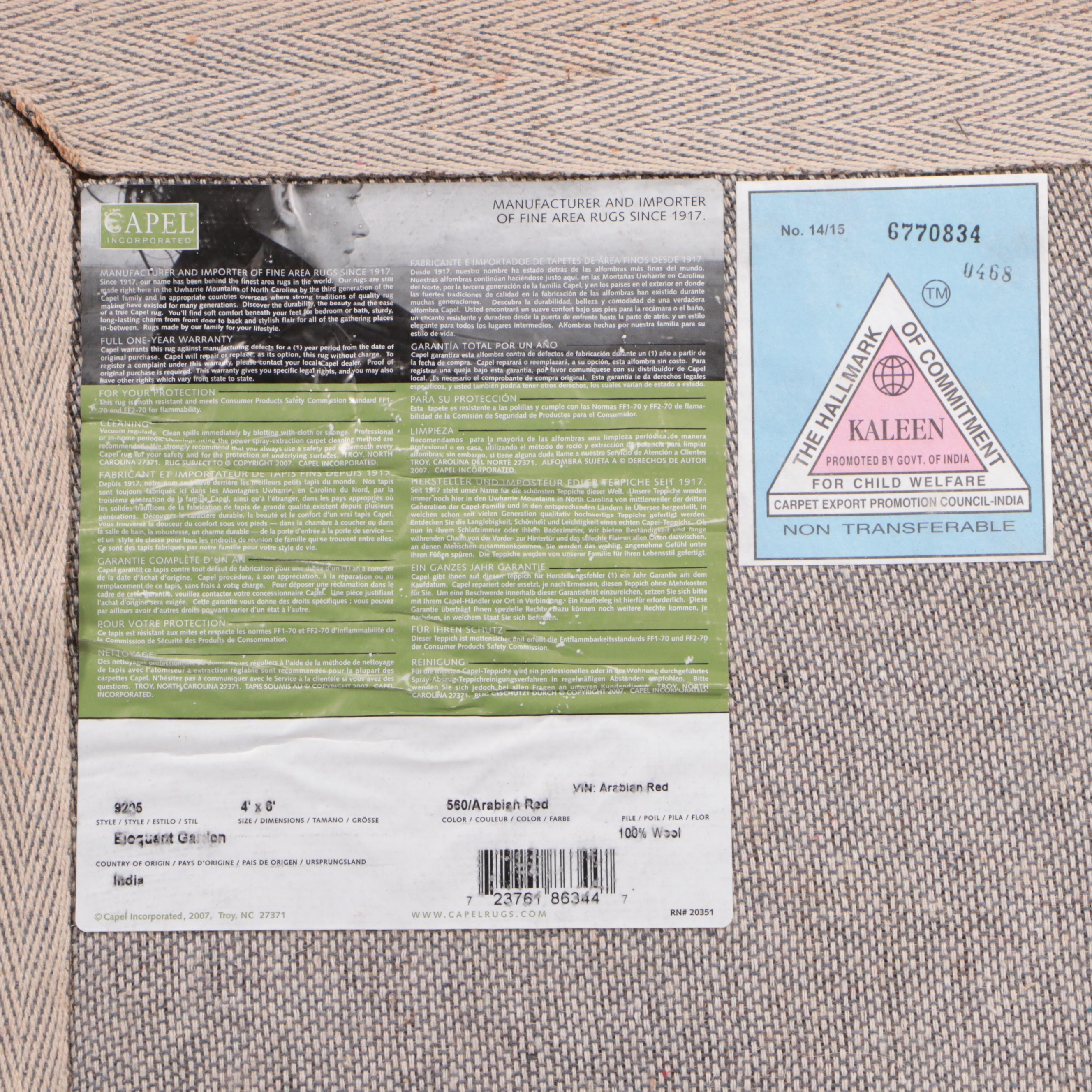 4' x 6' Hand-Tufted Capel Indian Agra Area Rug