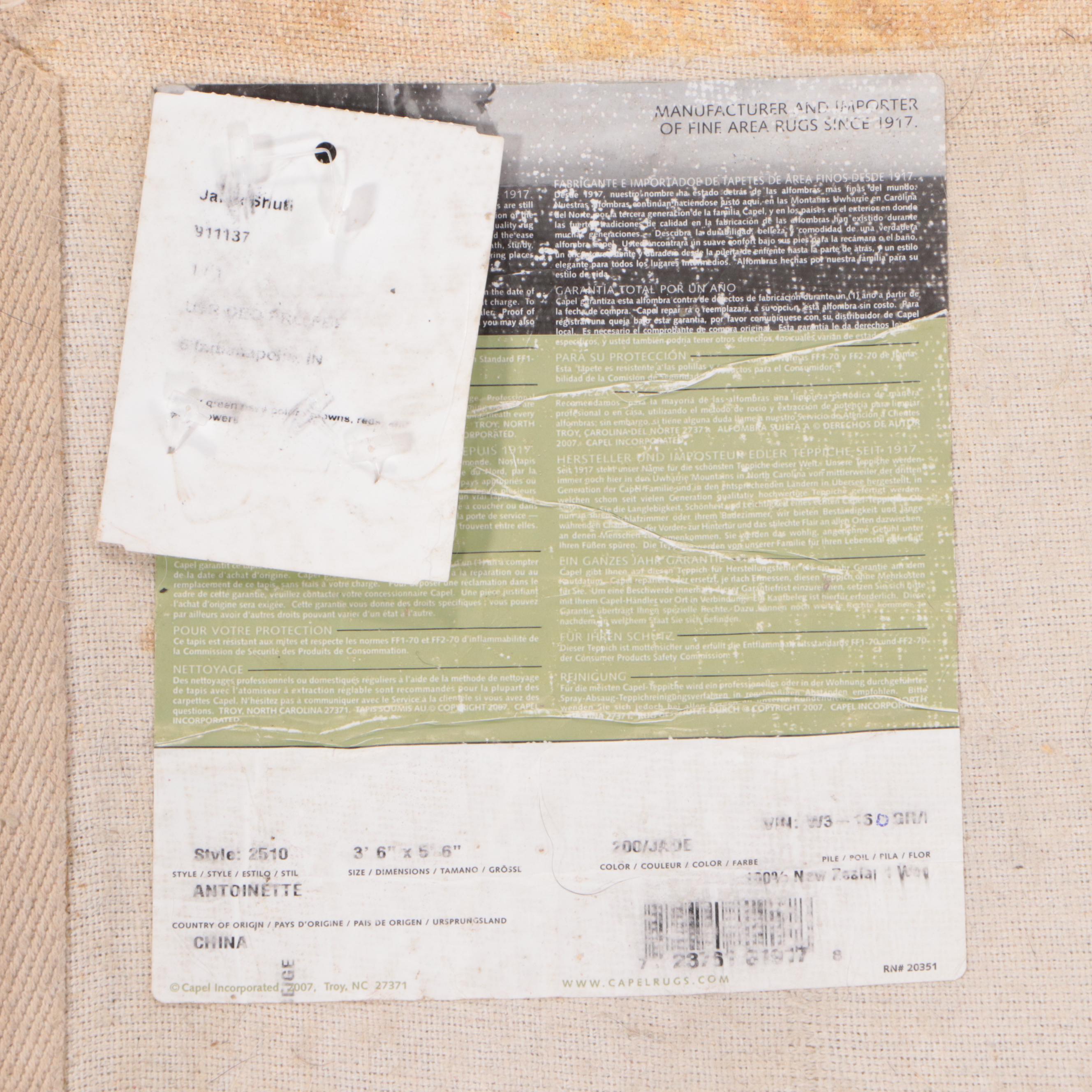 3'7 x 5'9 Hand-Tufted and Carved Capel Chinese Aubusson Style Area Rug