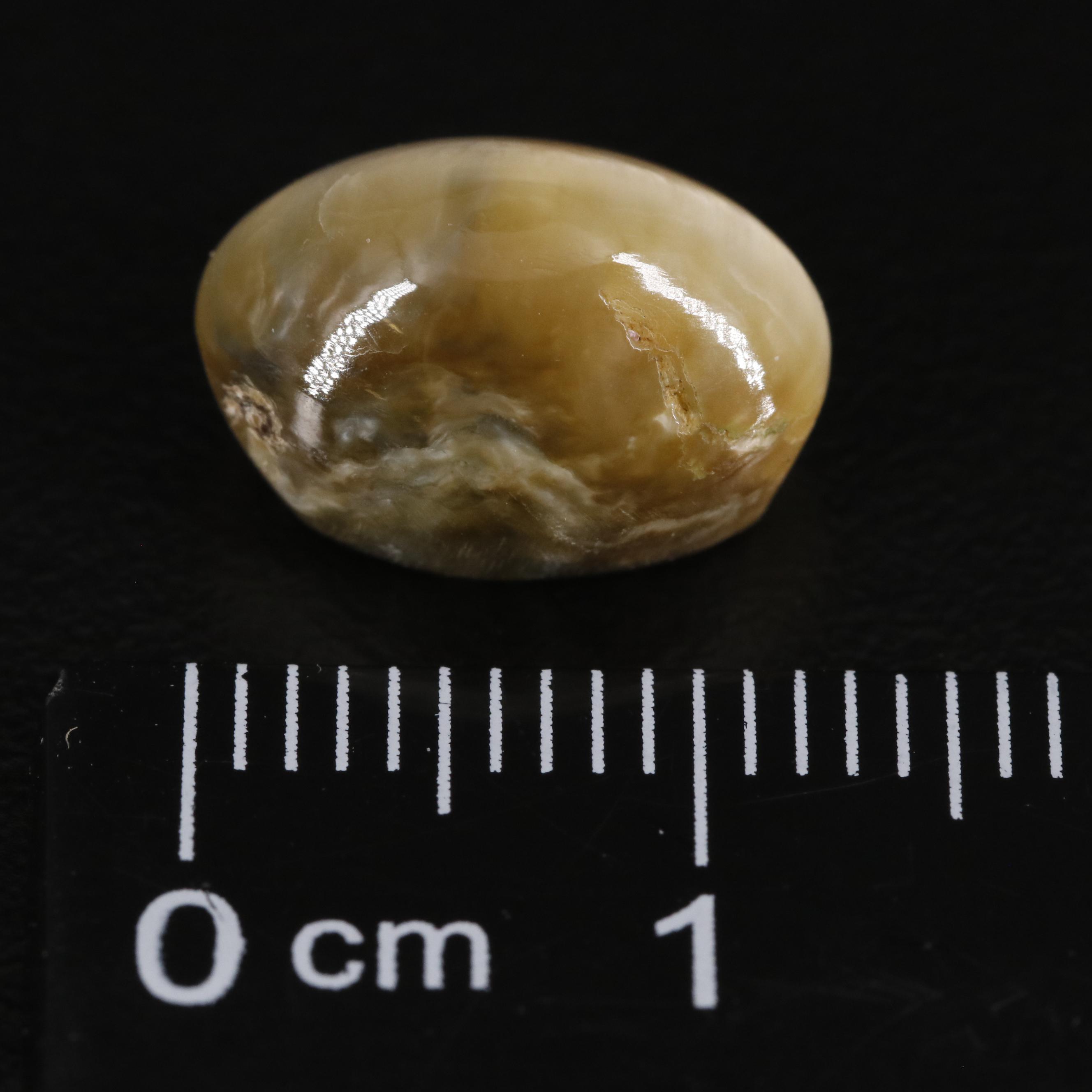 Loose 6.42 CT Cat's Eye Quartz