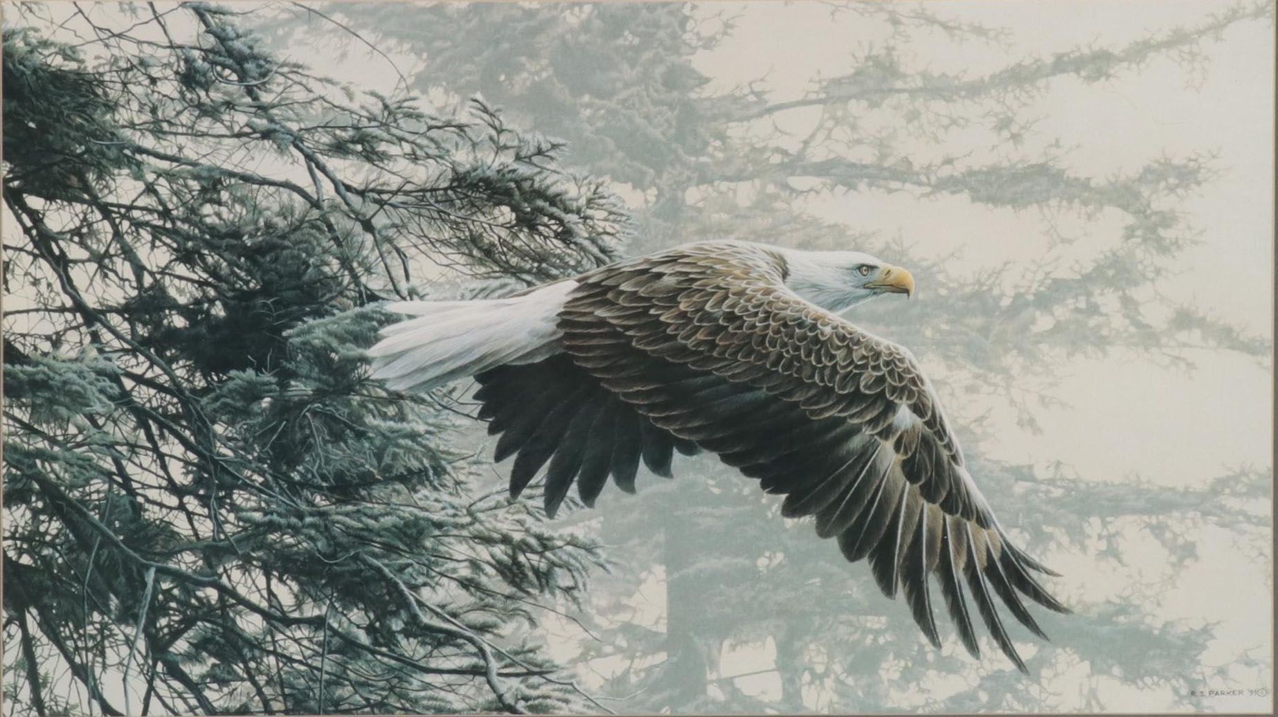 Offset Lithograph After Ron S. Parker "Through the Firs," 1991