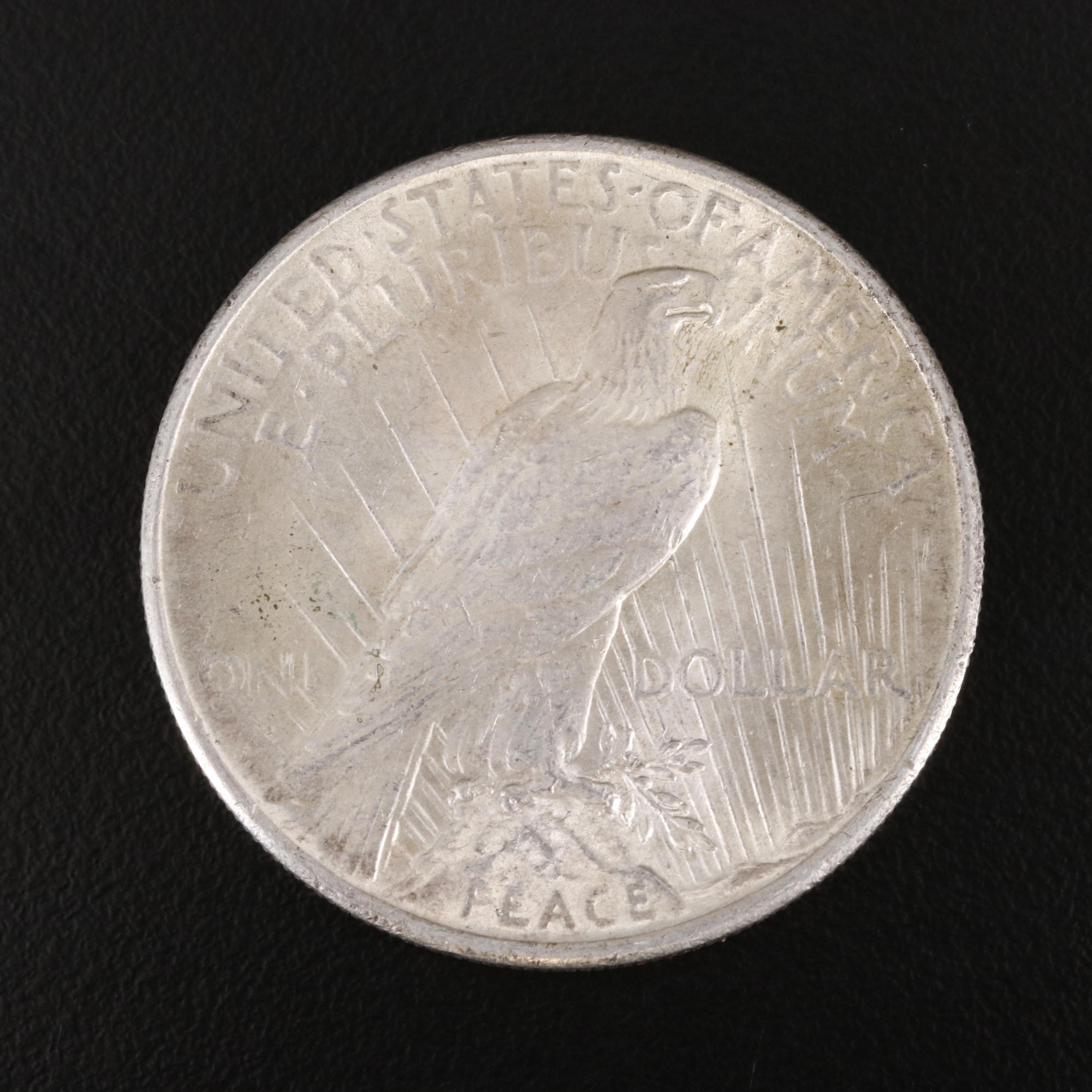 1924 Peace Silver Dollar
