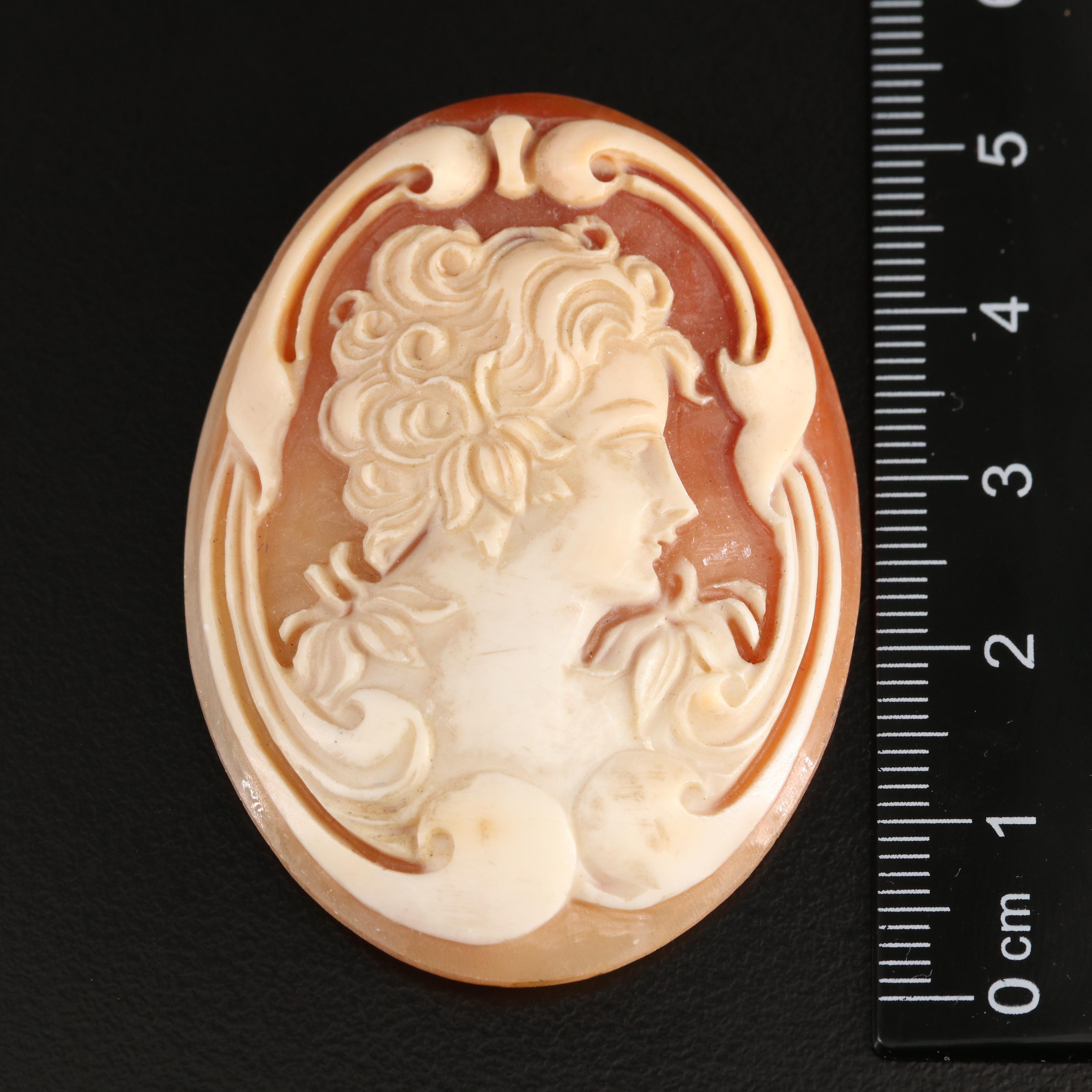Loose Shell Oval Cameo