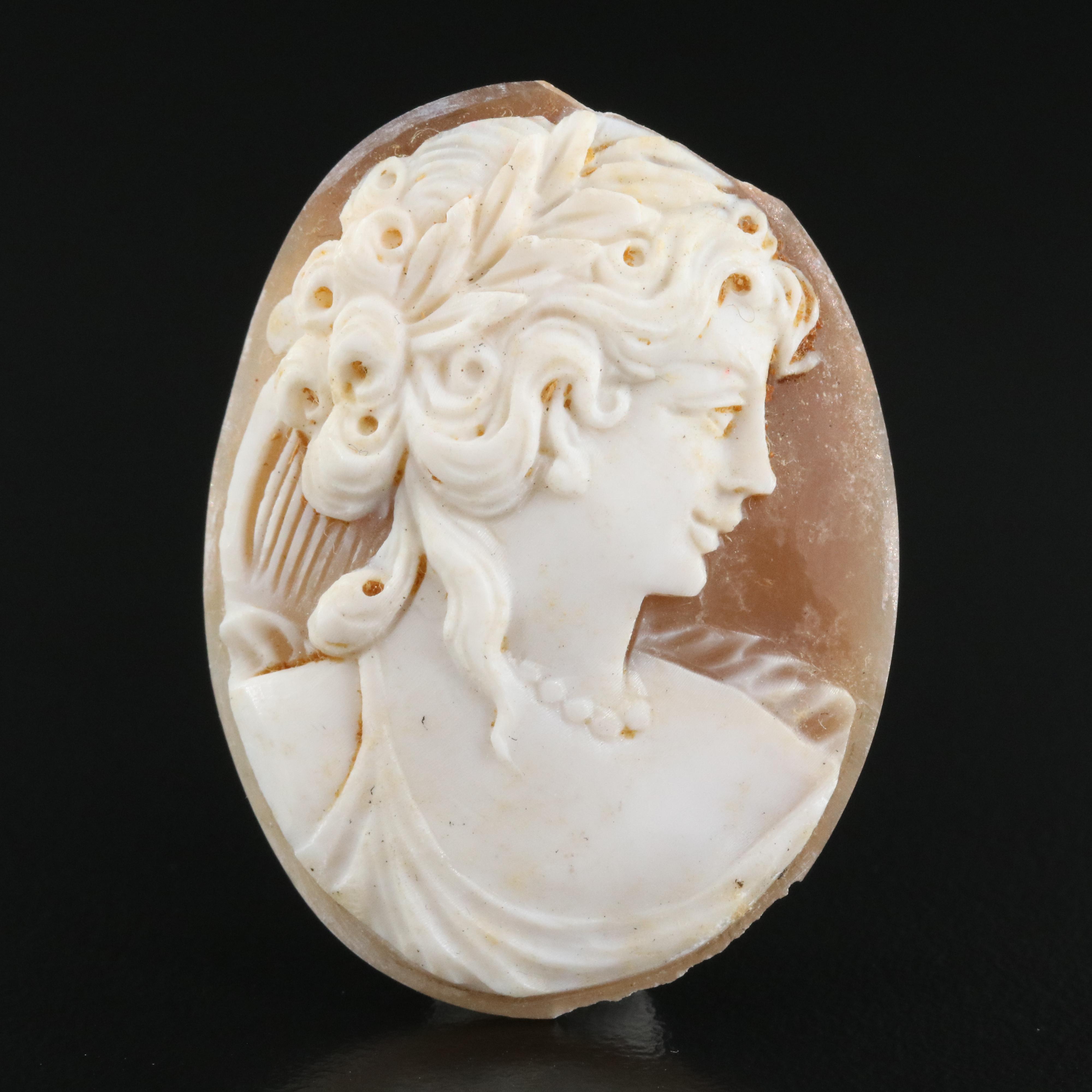 Loose Signed Shell Cameo