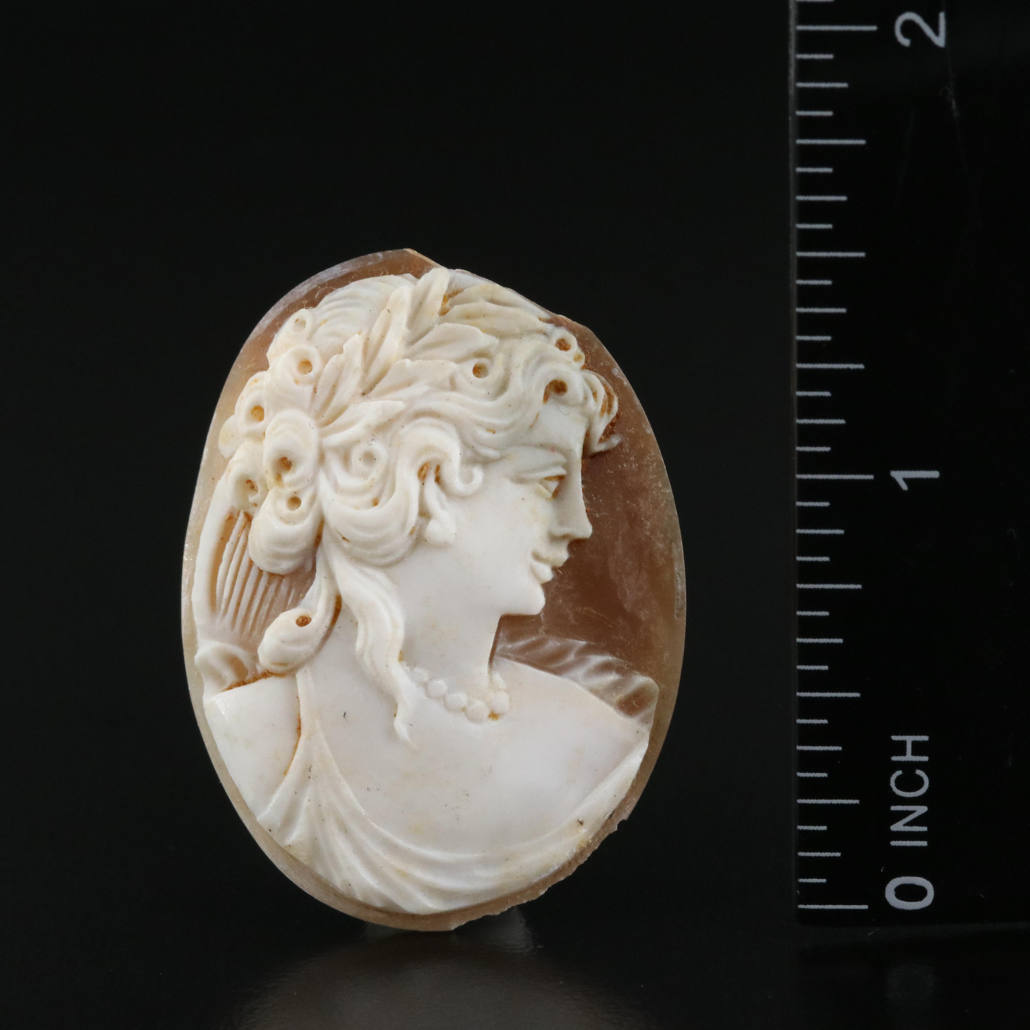 Loose Signed Shell Cameo