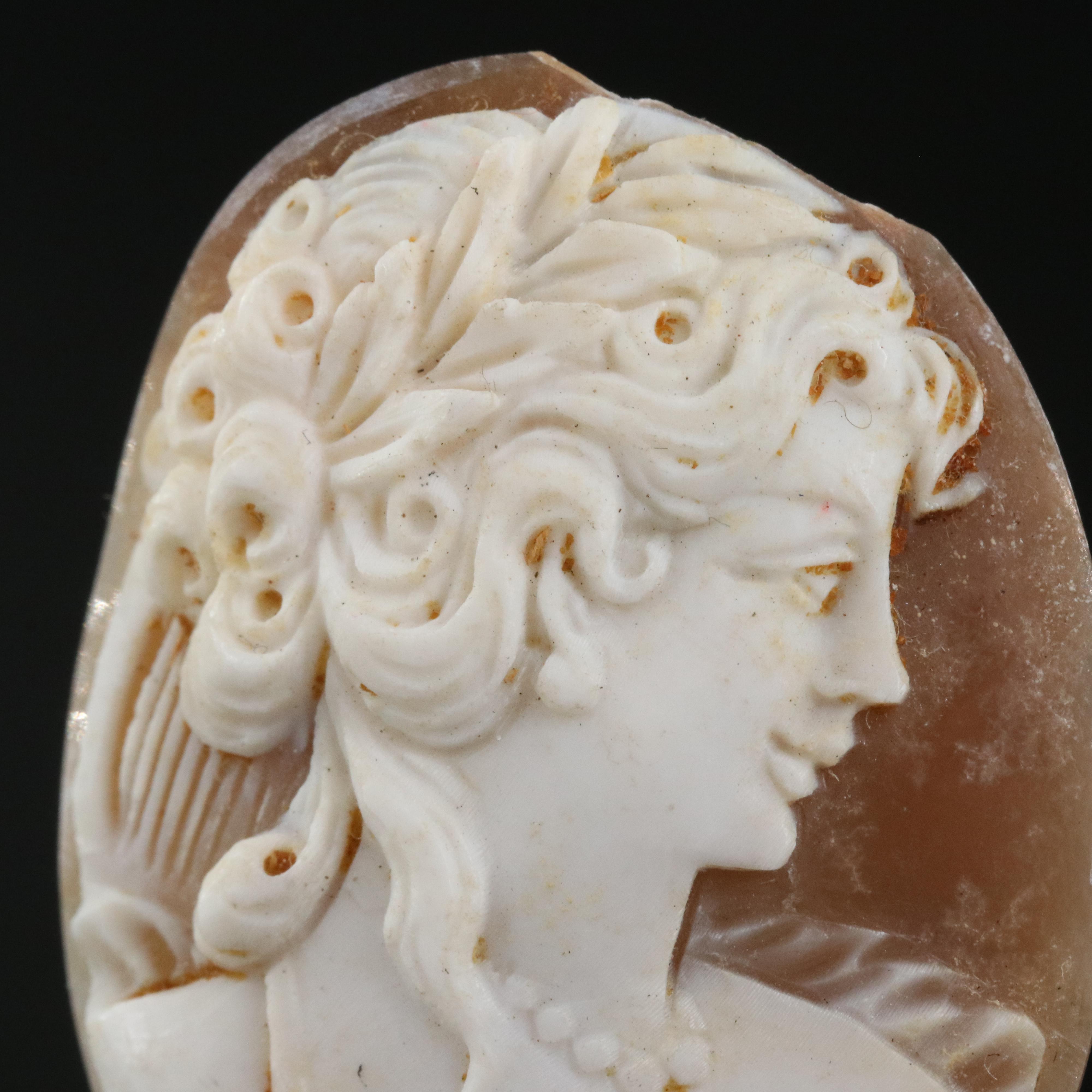 Loose Signed Shell Cameo