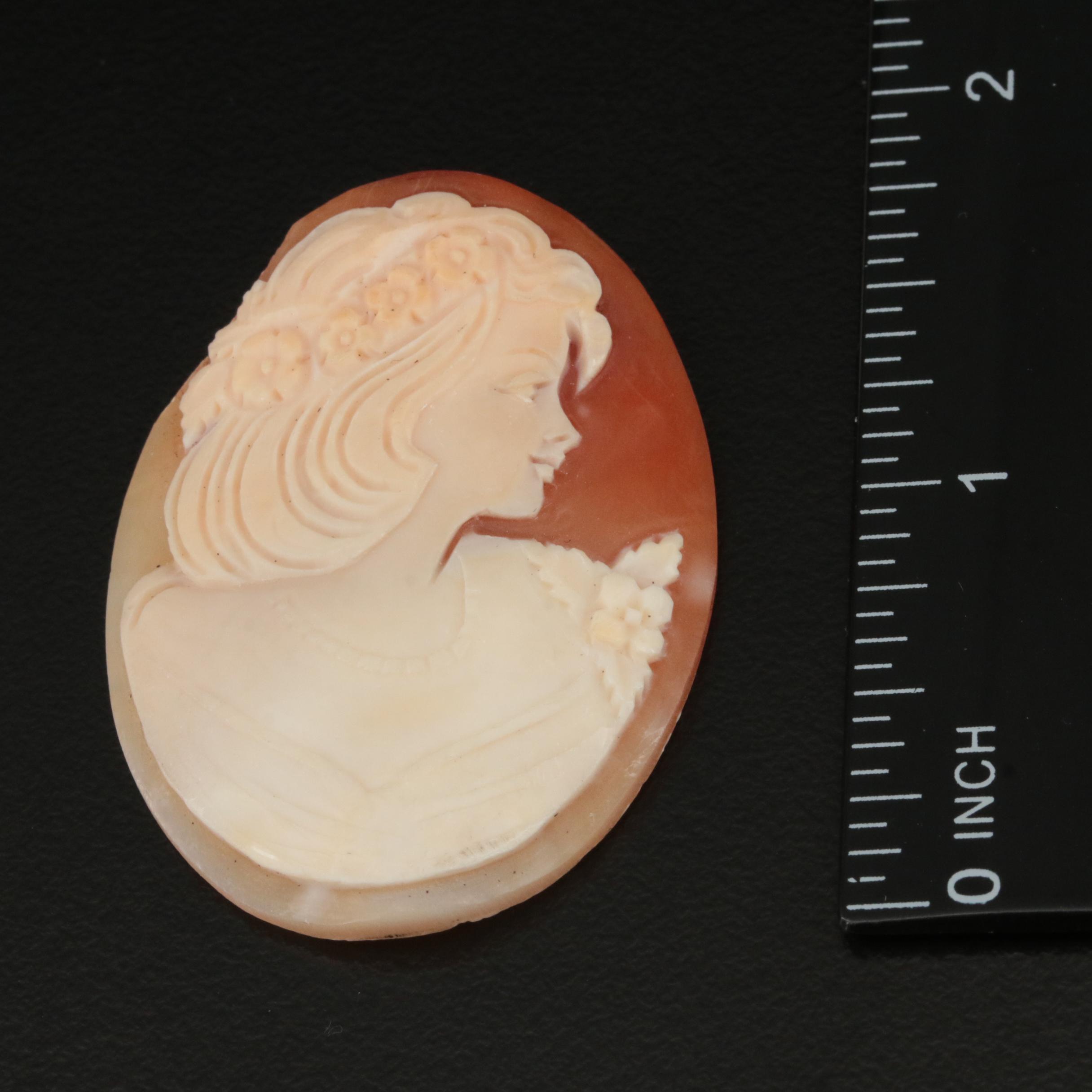 Loose Oval Shell Cameo