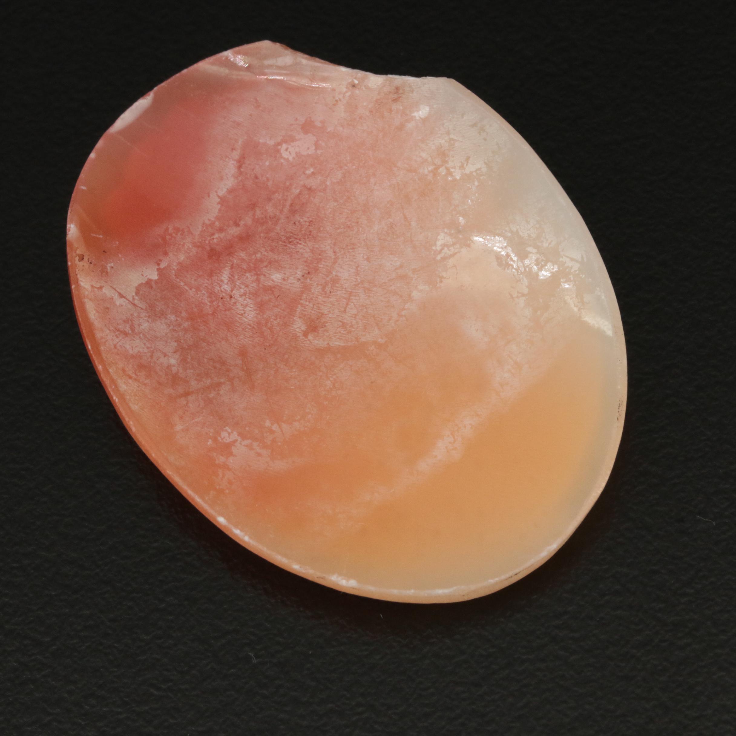 Loose Oval Shell Cameo