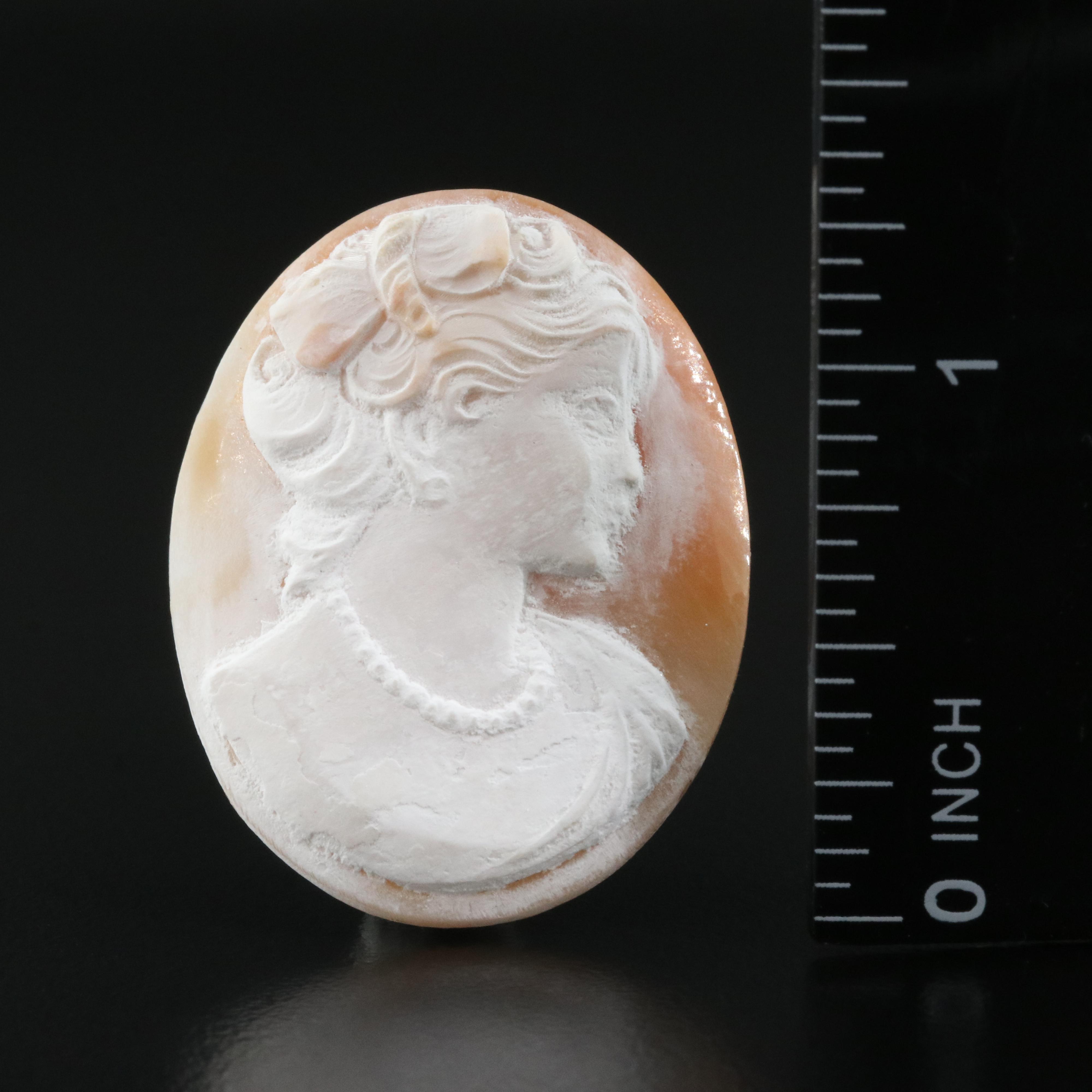 Loose Oval Shell Cameo