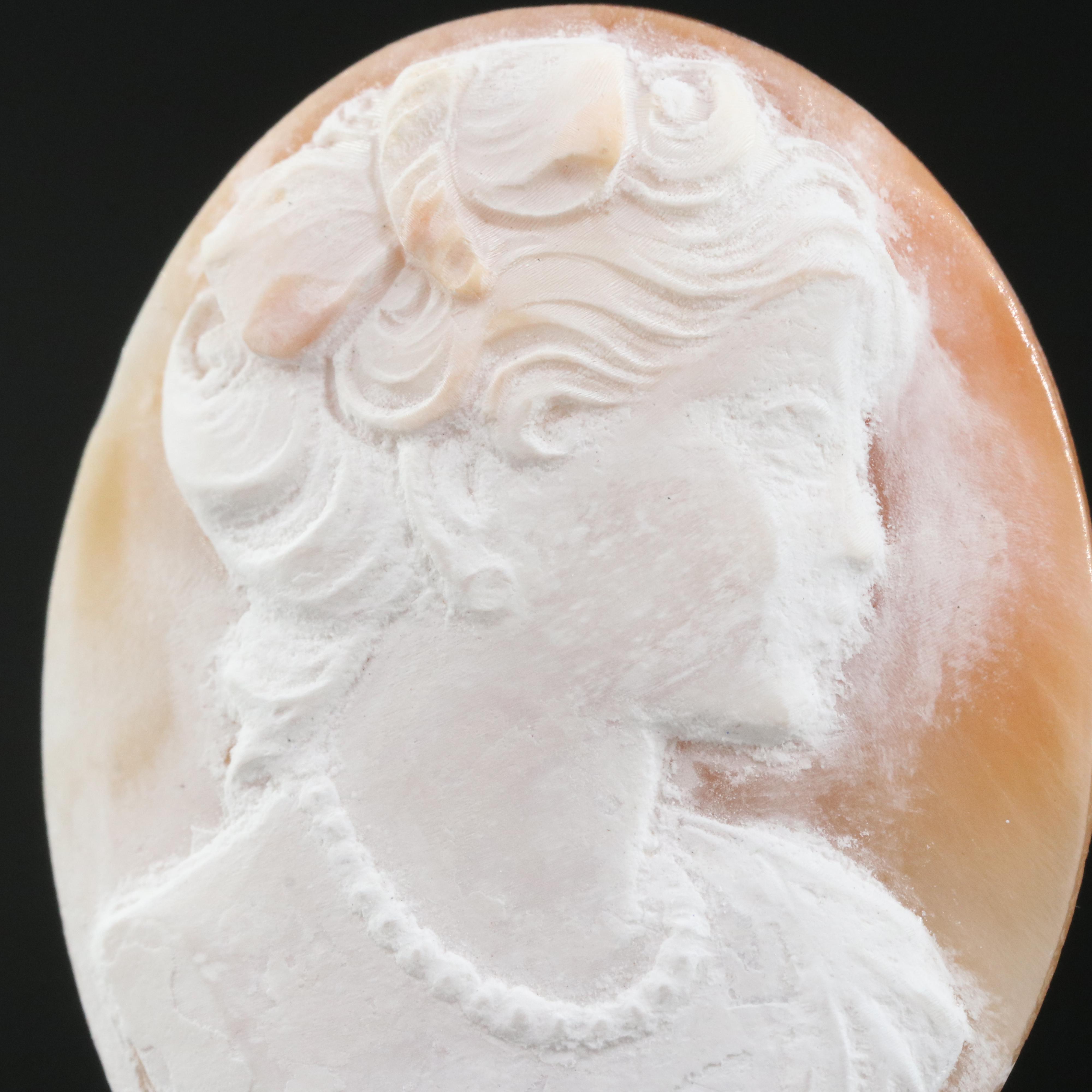 Loose Oval Shell Cameo