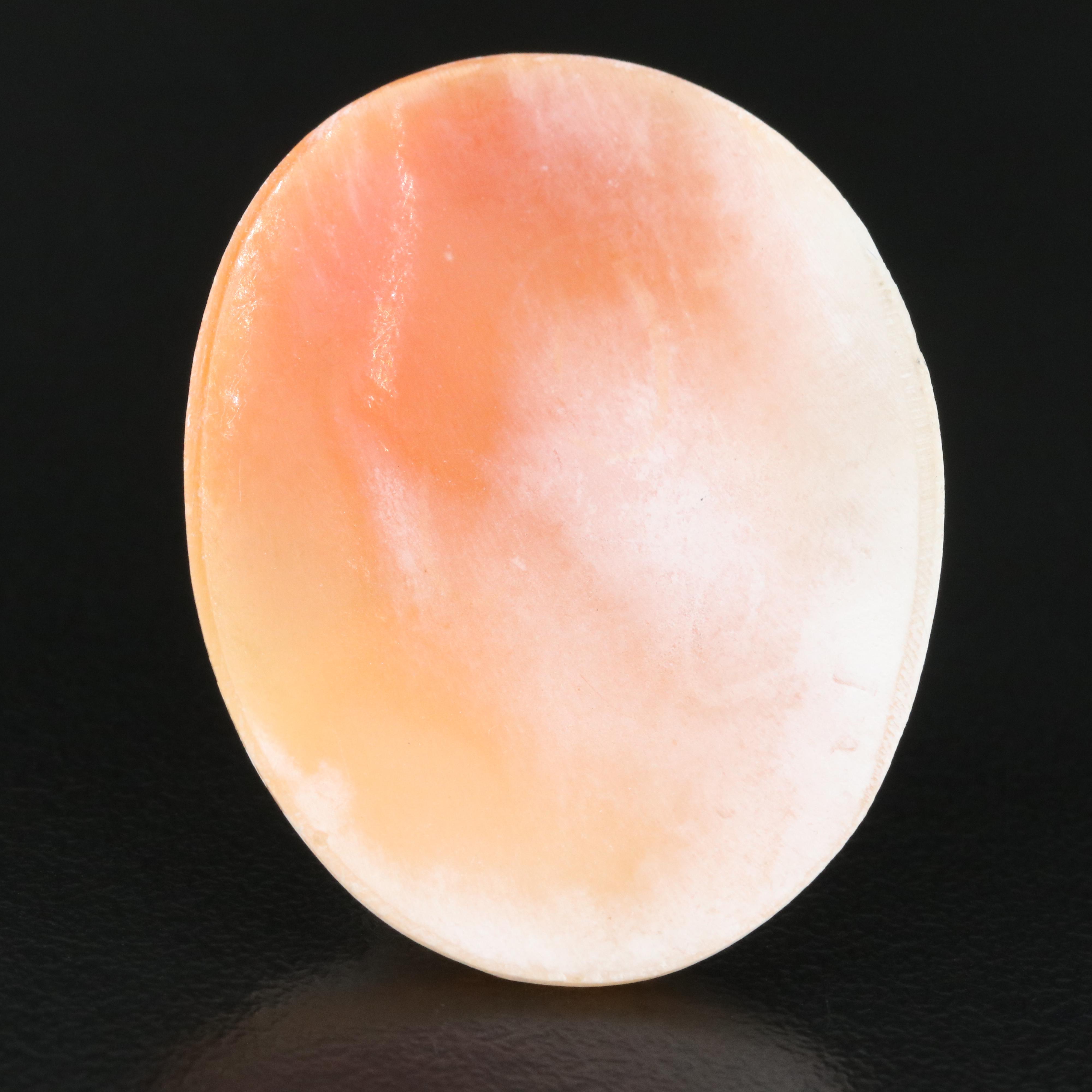 Loose Oval Shell Cameo