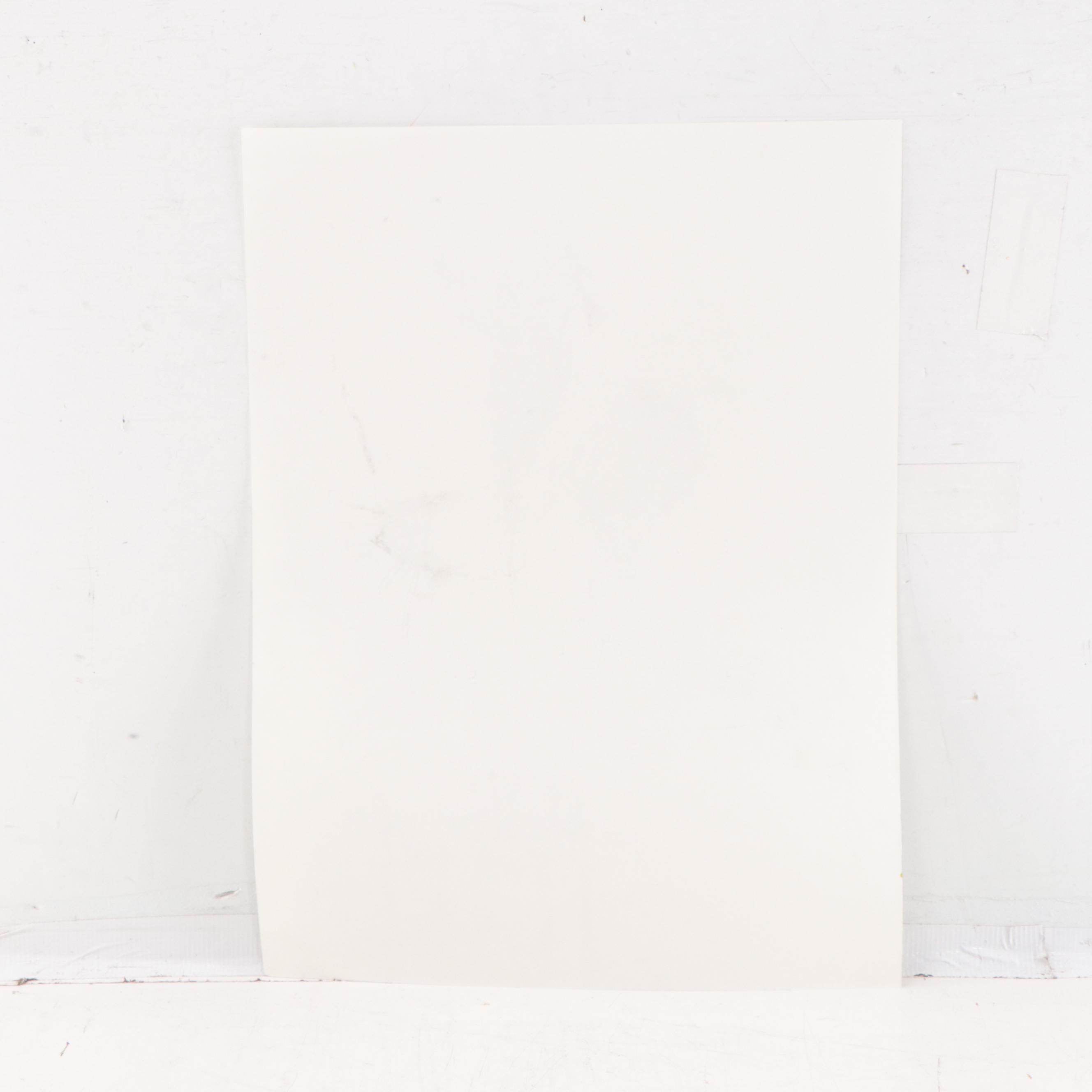 Carol Imes-Luscombe Mixed Media Drawing of Floral Still Life "Calla Lillies"