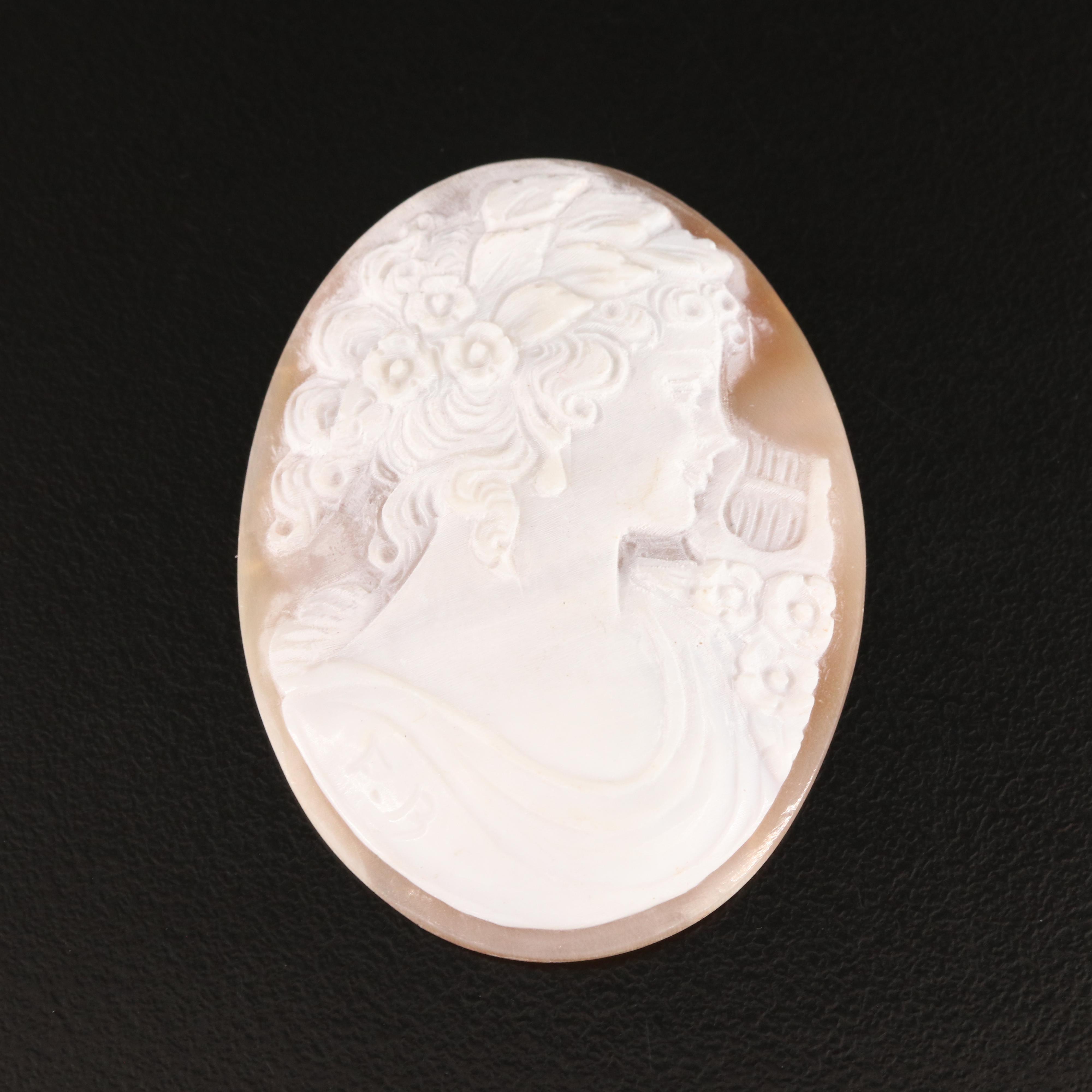 Loose Oval Shell Cameo