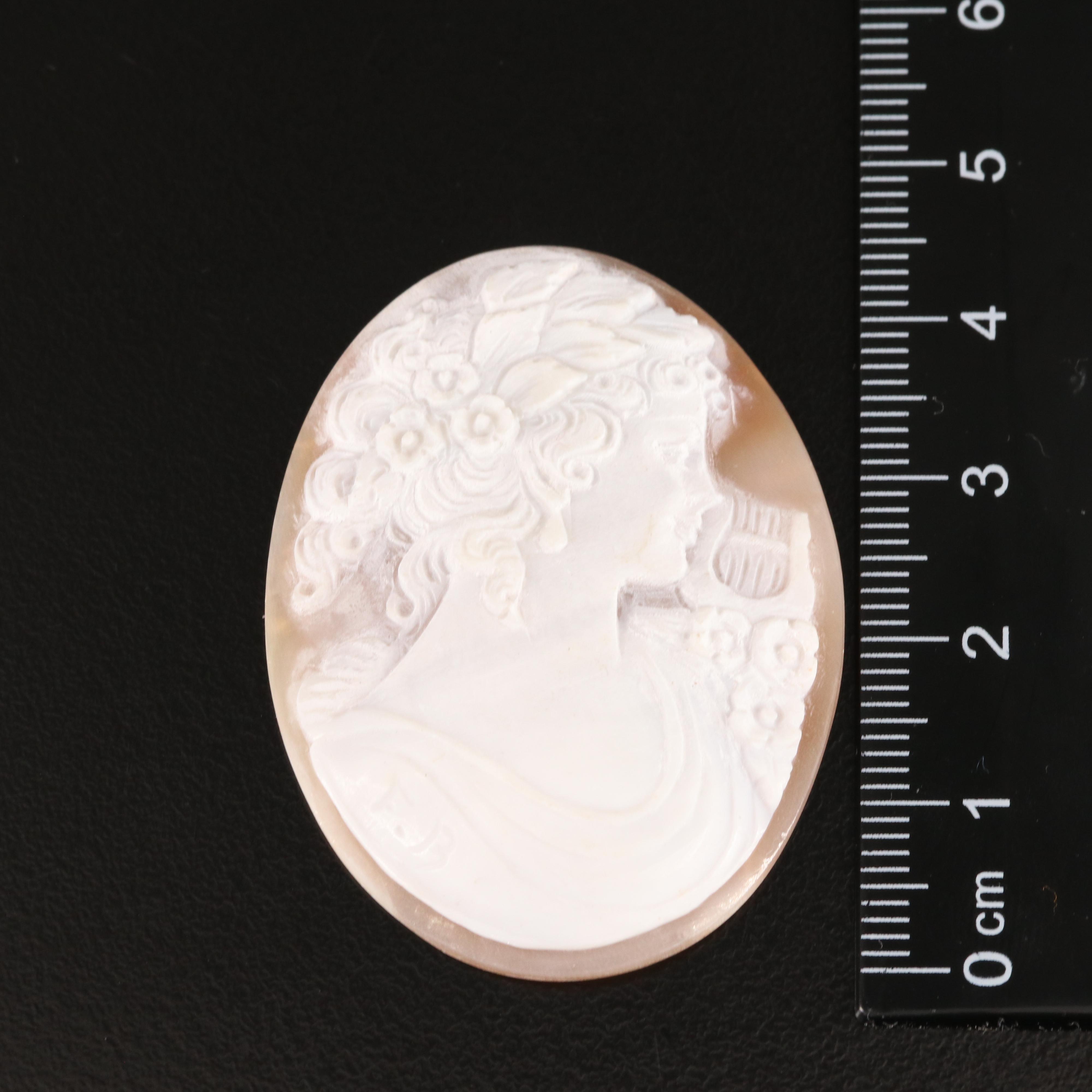 Loose Oval Shell Cameo