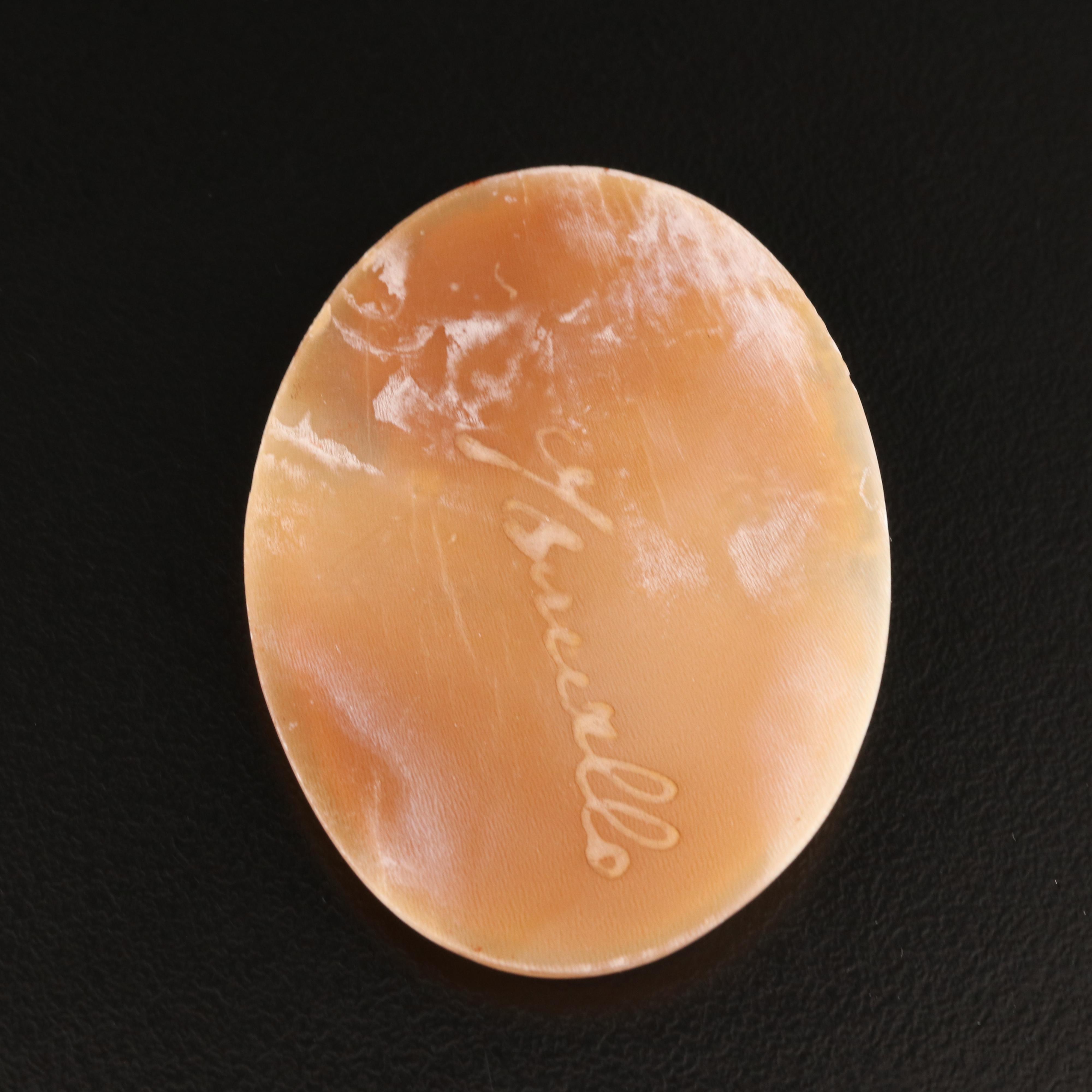 Loose Oval Shell Cameo