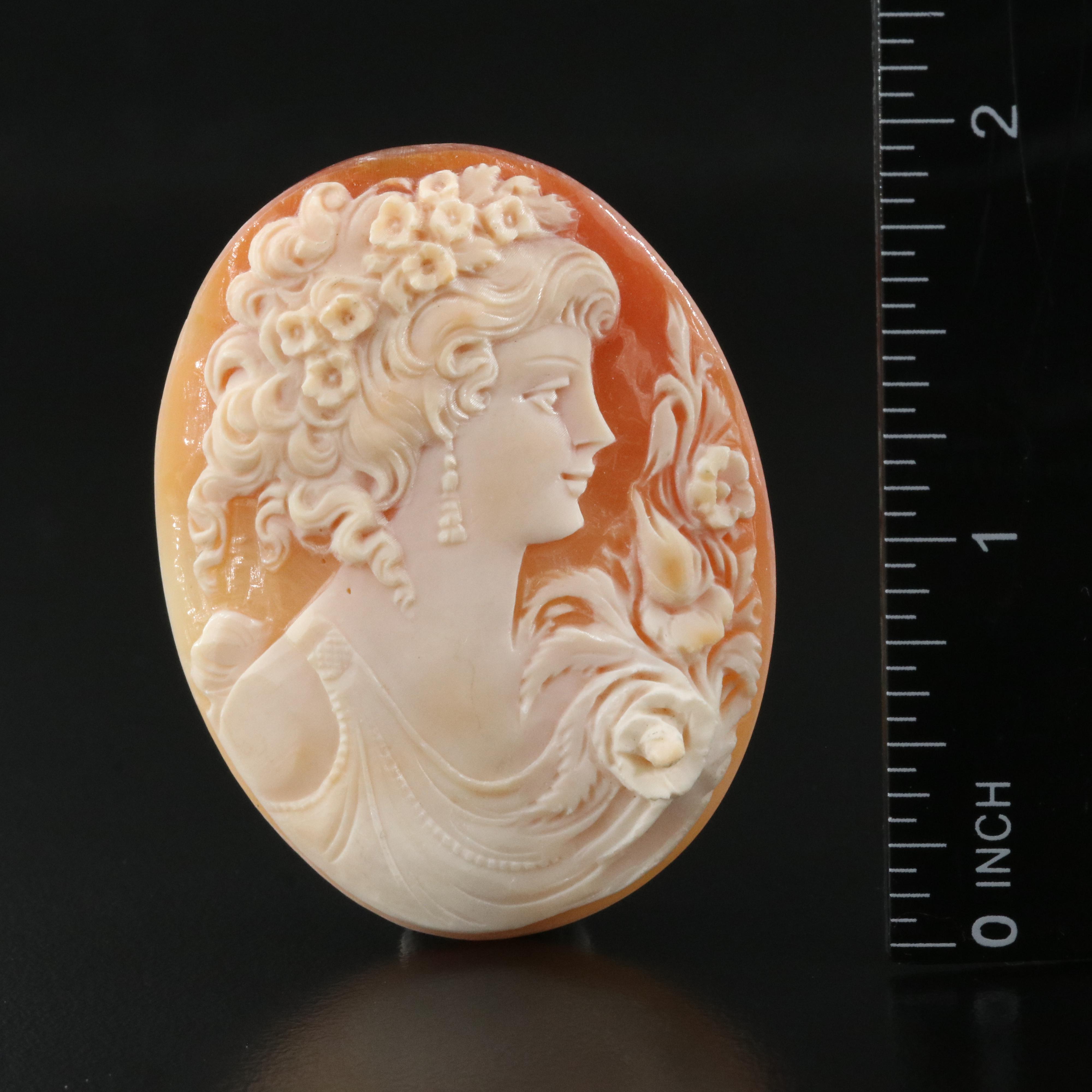 Loose Oval Shell Cameo