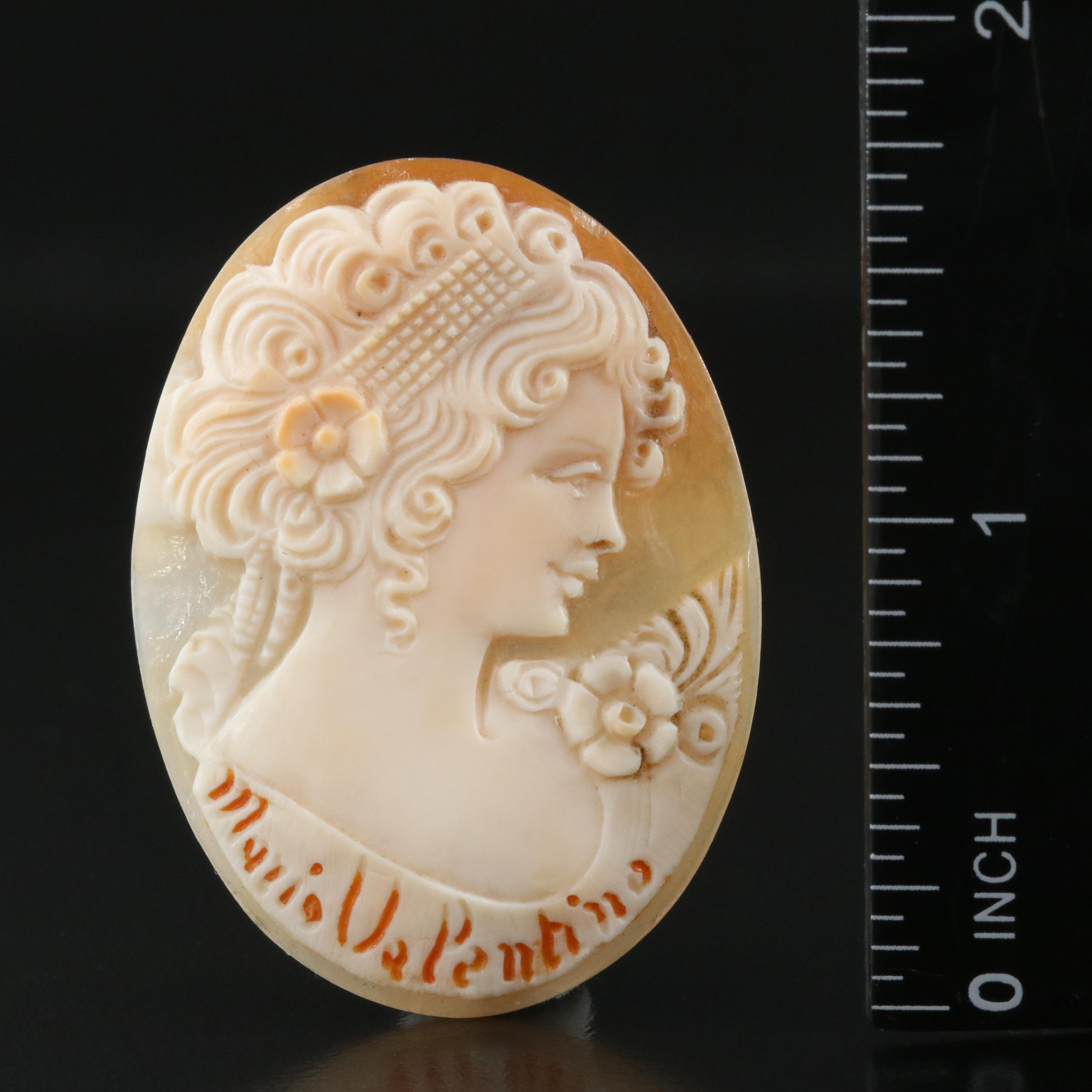 Loose Oval Shell Cameo