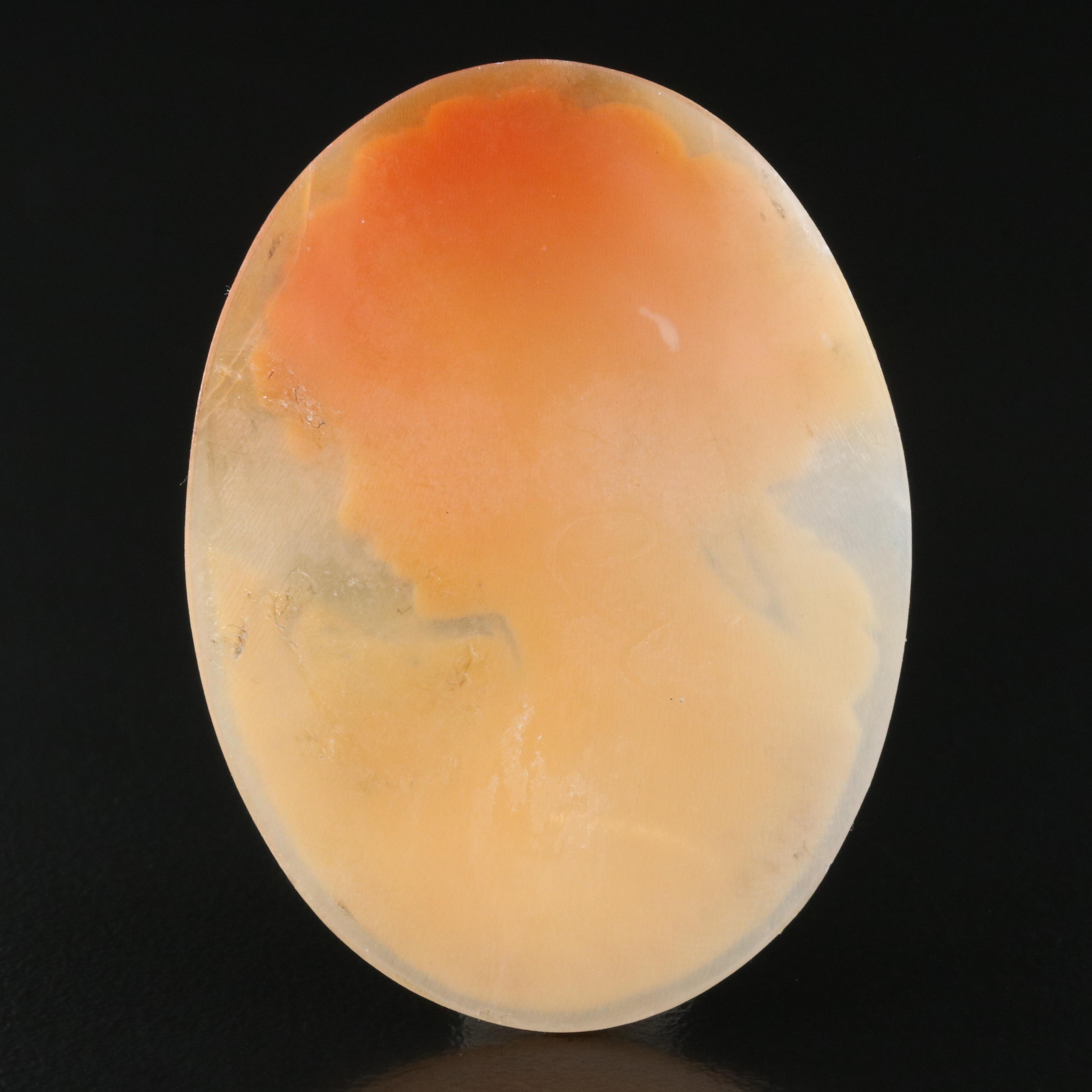 Loose Oval Shell Cameo