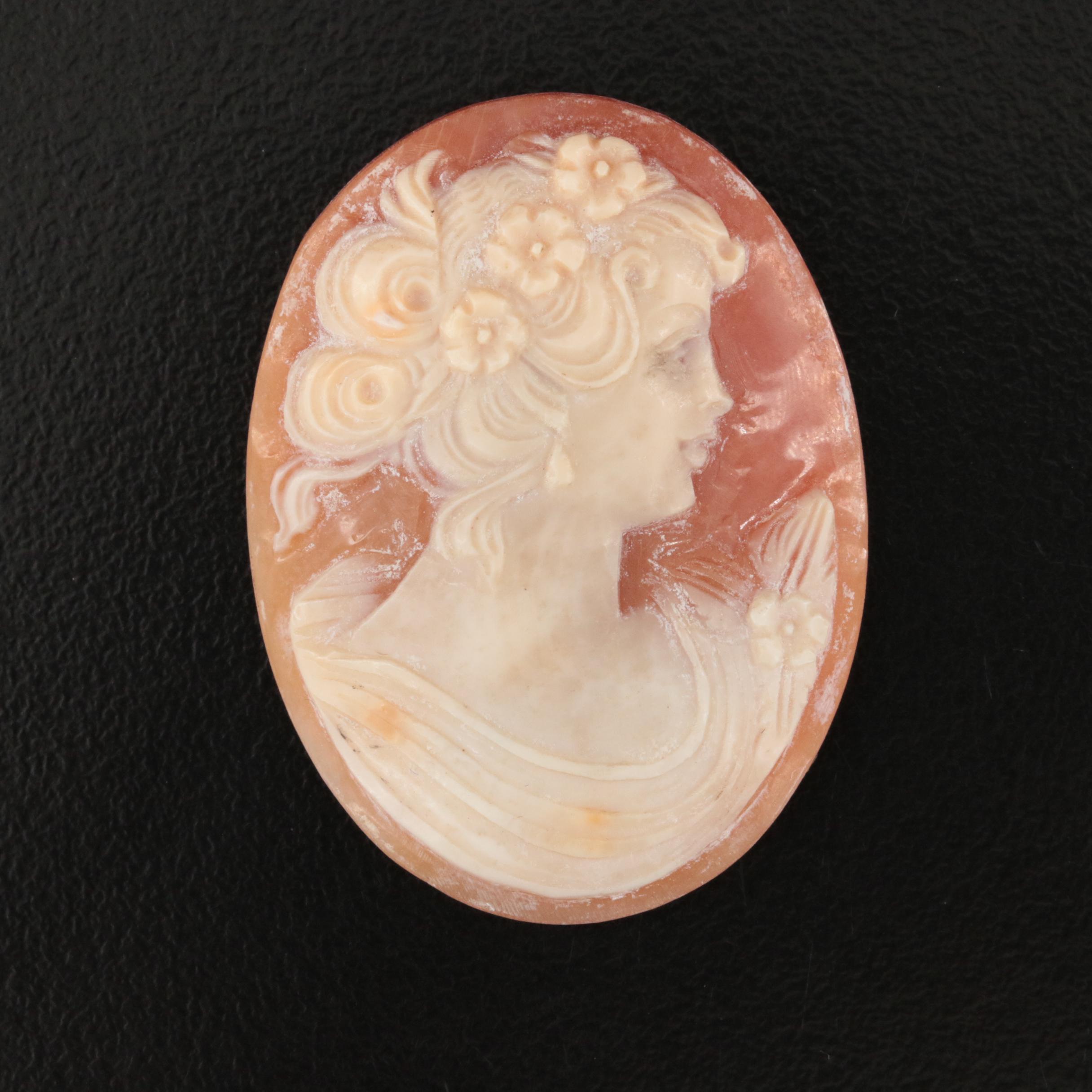 Loose Oval Shell Cameo