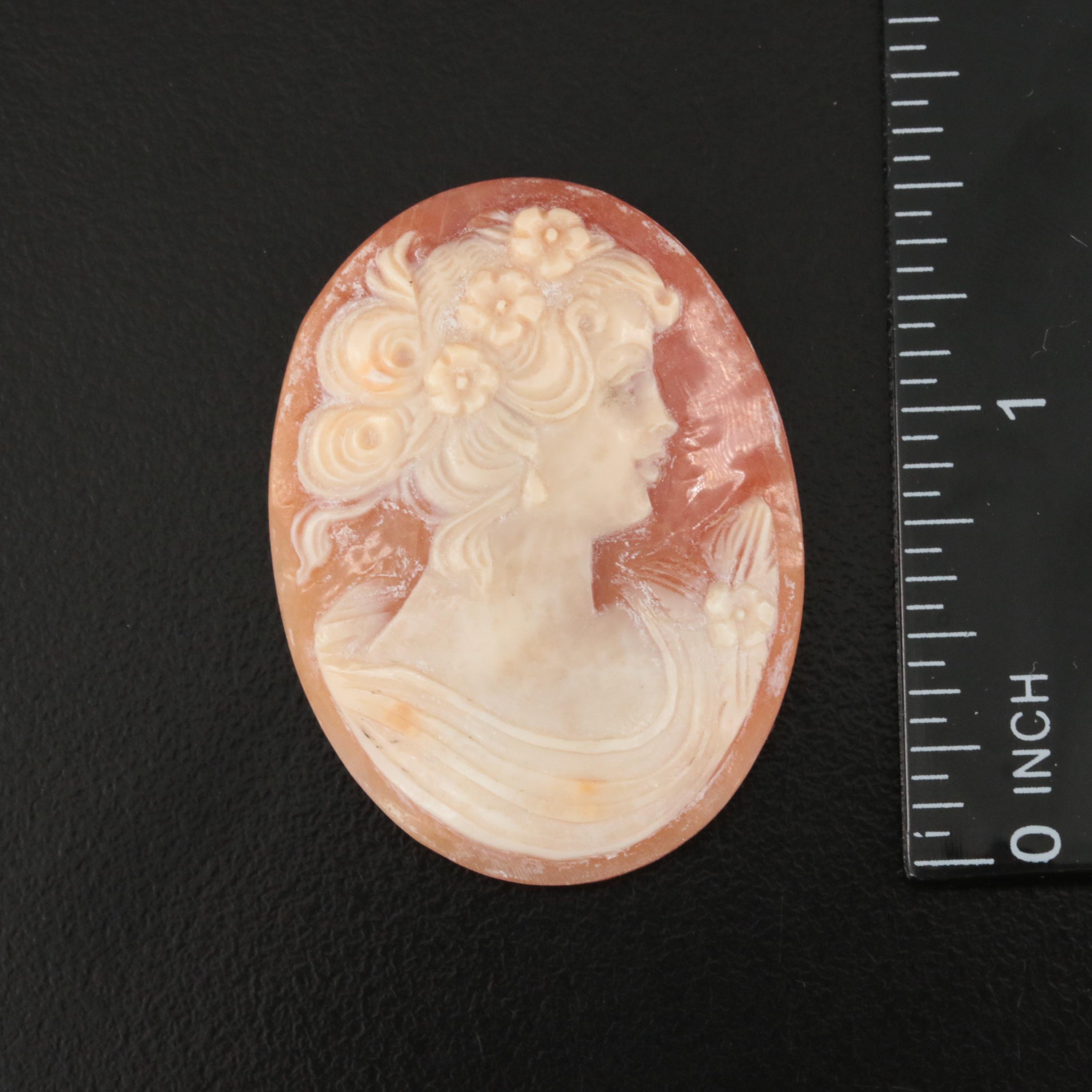 Loose Oval Shell Cameo