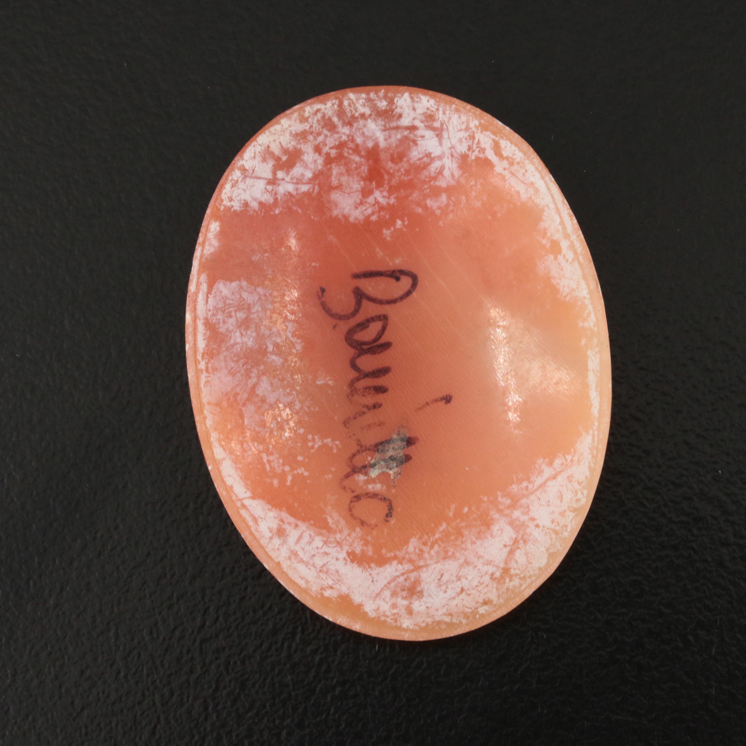 Loose Oval Shell Cameo