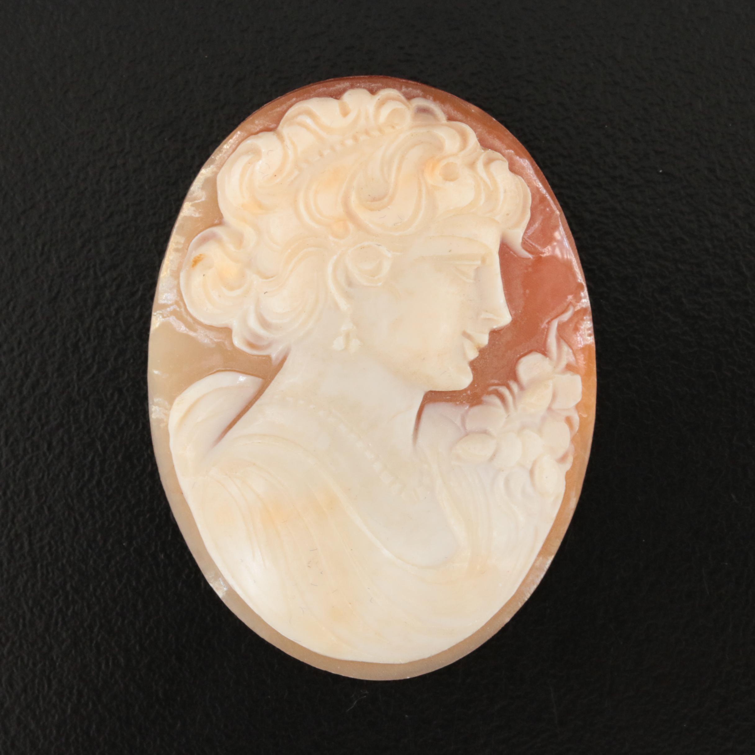 Loose Oval Shell Cameo